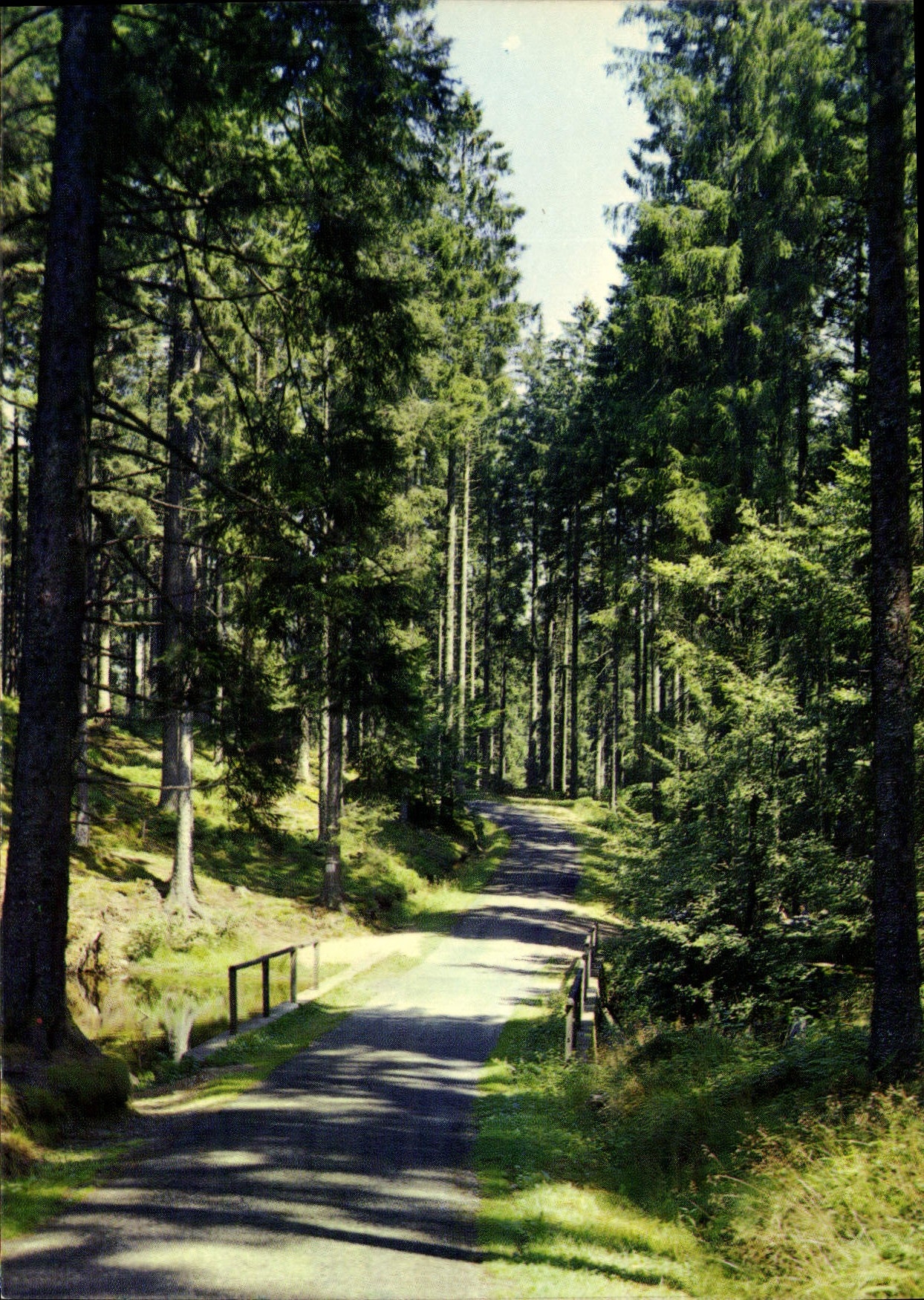 CPM le Morvan Touristique Route du Haut Polin