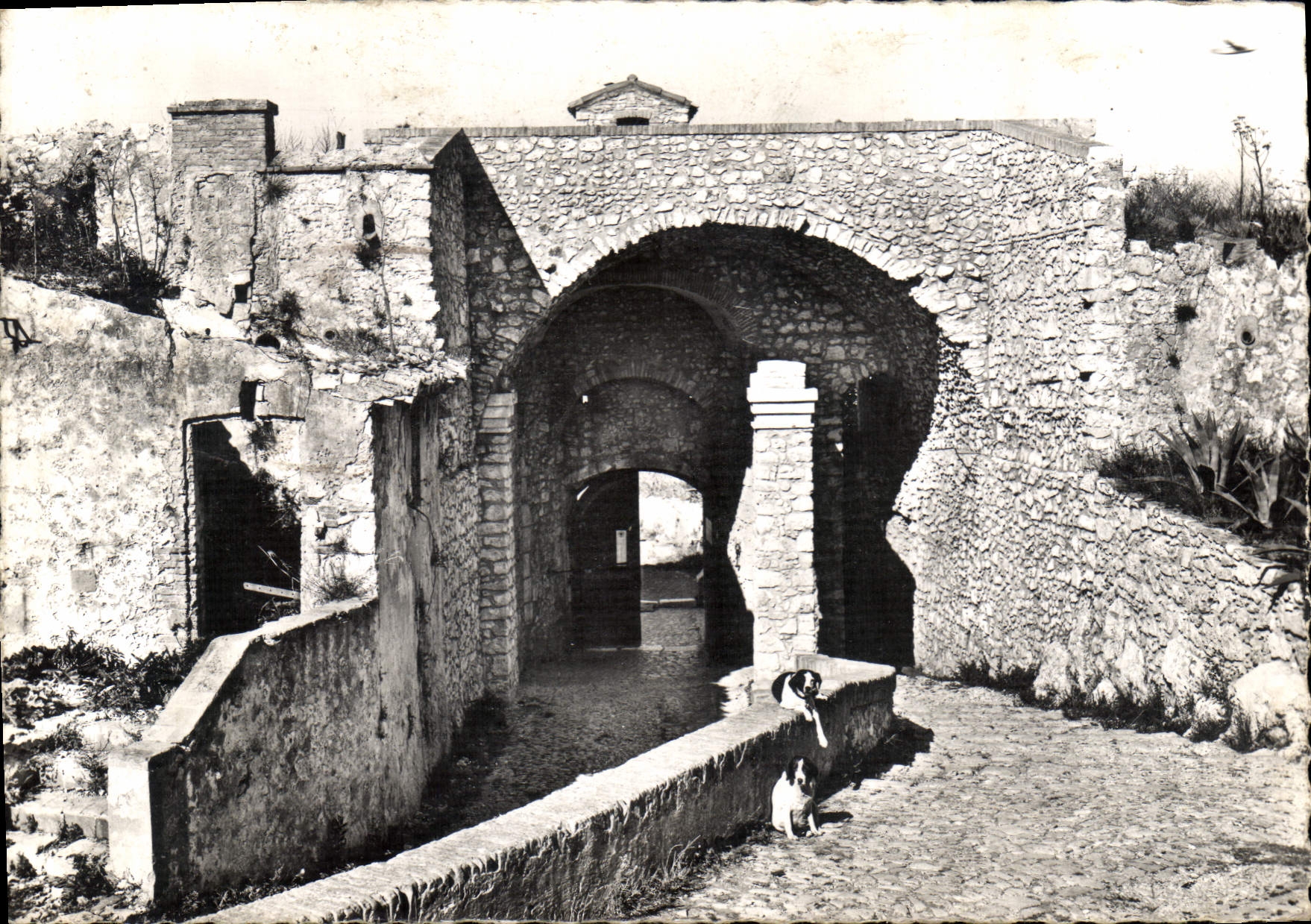CPM Ile Sainte Marguerite Cannes Interieur de la Citadelle construite sous Richelieu