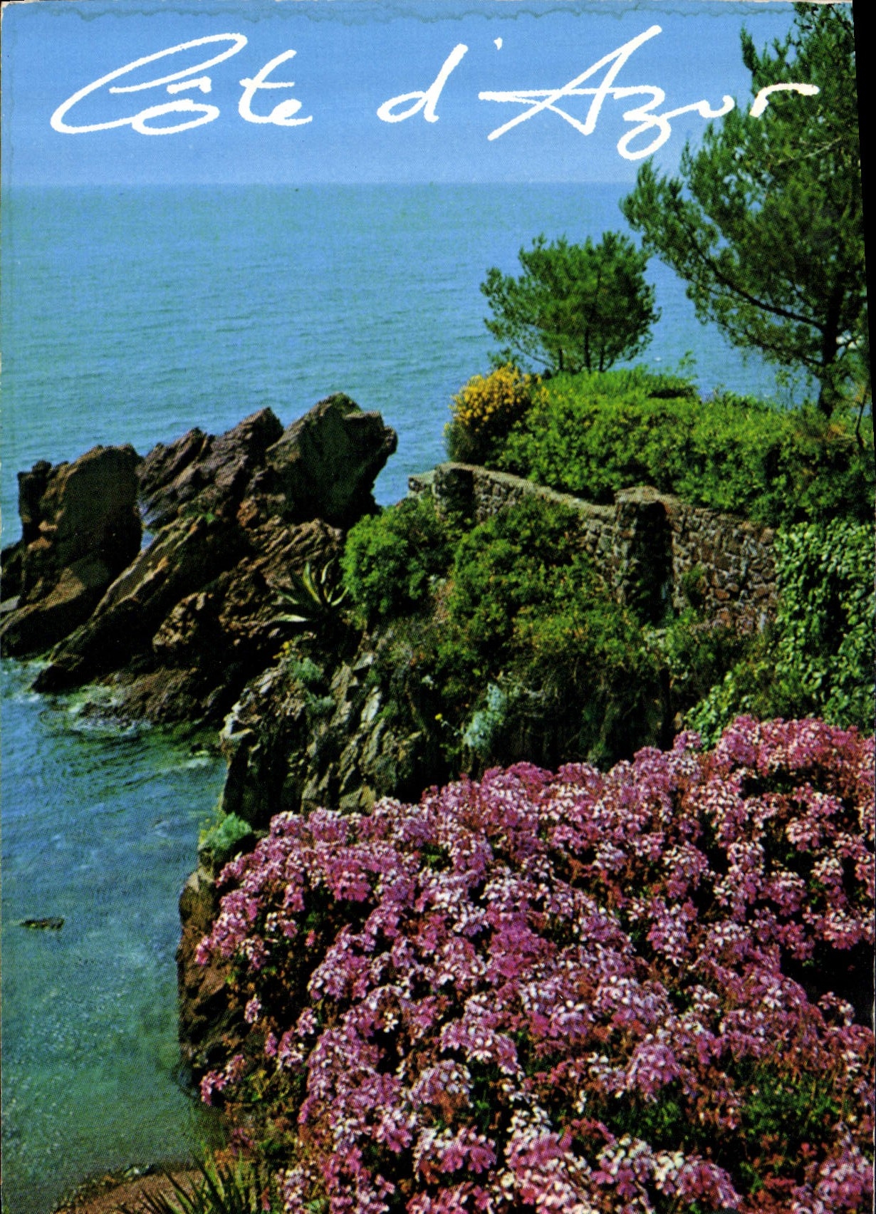 CPM Cote D'Azur Bord de mer 