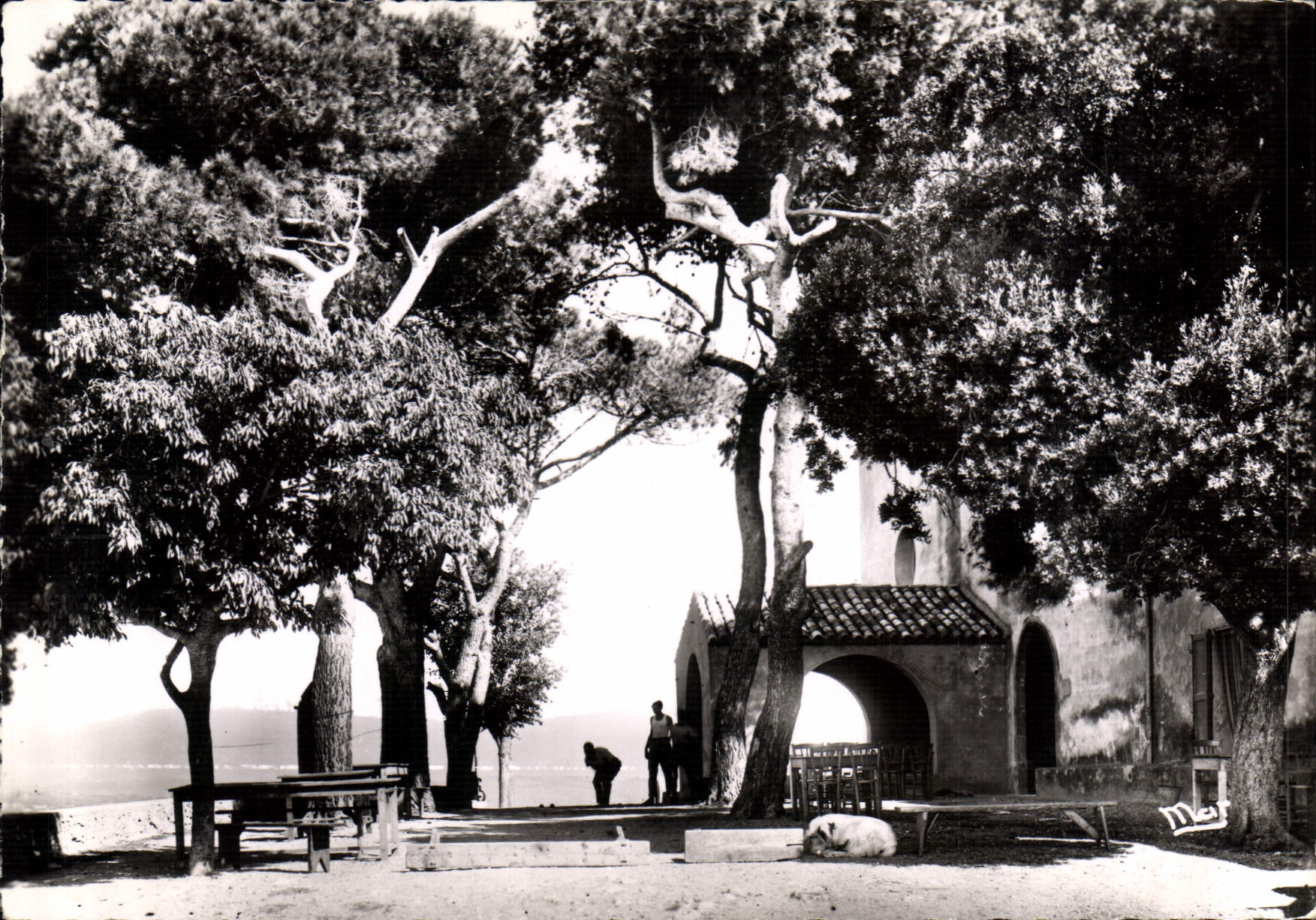CPM La Cote d'Azur Cap d'Antibes La Garoupe La Chapelle