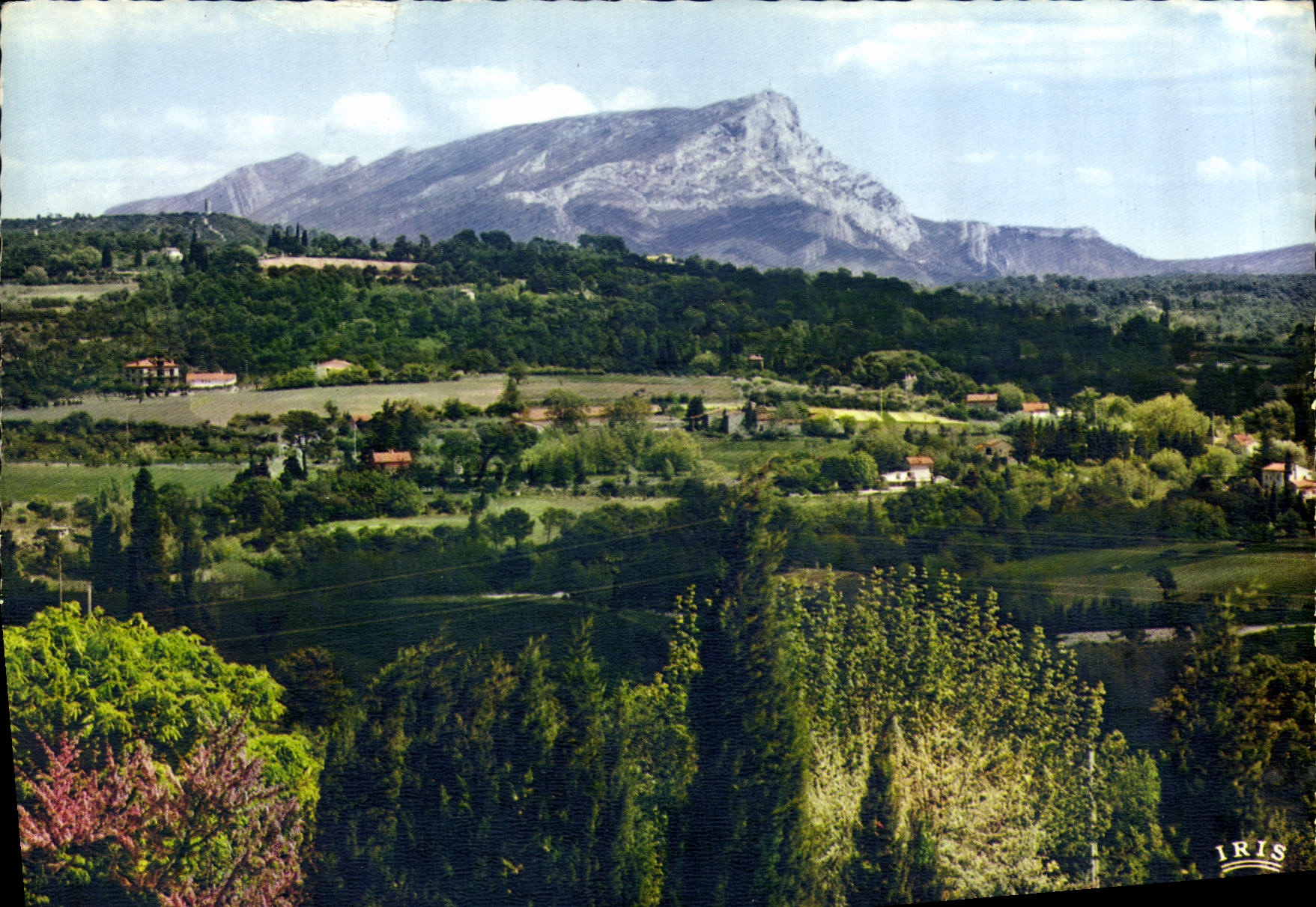 CPM Reflets de Provence La Jolie Campagne Aixoise avec comme toile de fond La Montagne Sainte Victoi