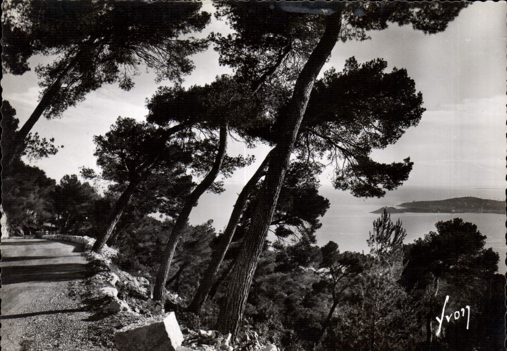 CPM Cote d'Azur Route de la grande corniche a droite le cap Ferrat