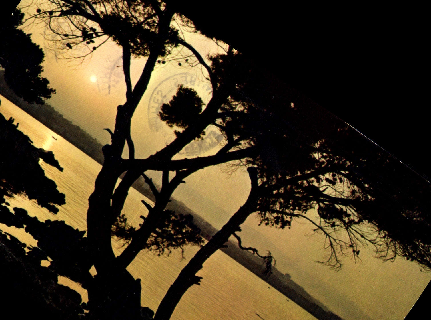 CPM Cap d'Antibes AM Contre jour sur le Vieil Antibes