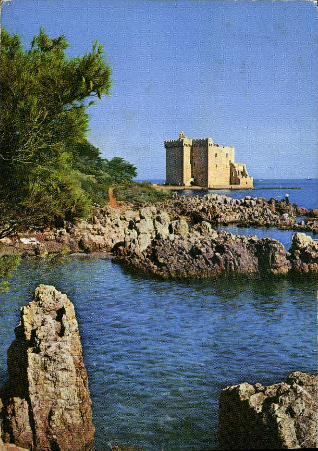 CPM Environs de Cannes Ruines du vieux Chateau 