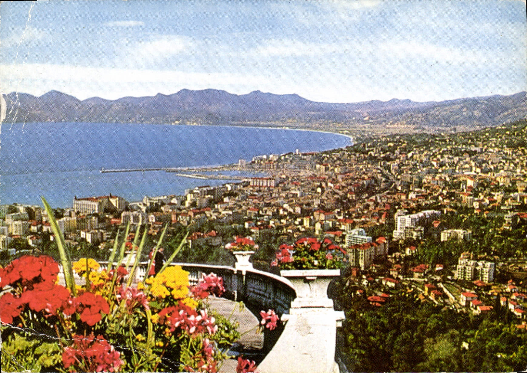 CPM Cannes Vue generale prise de la Californie