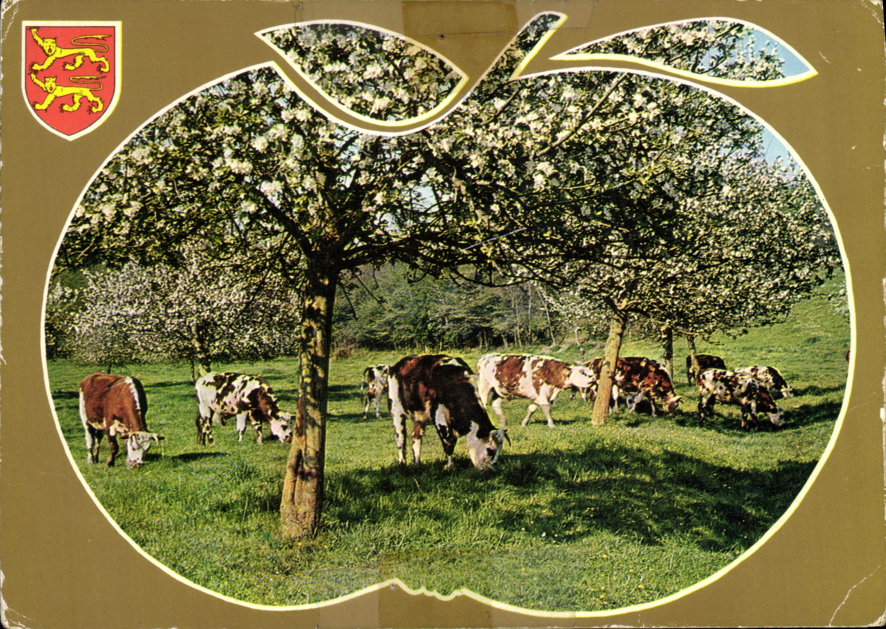 CPM Charmes et Couleurs de la Normandie 
