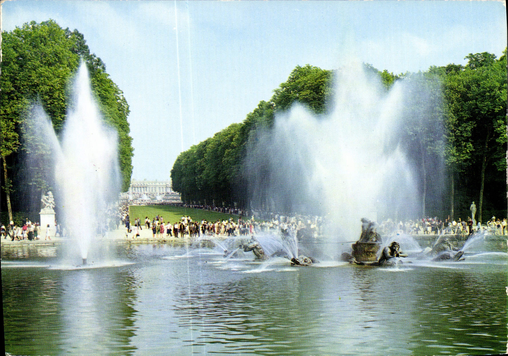 CPM Versailles Bassin d'Apollon Le Tapis Vert 