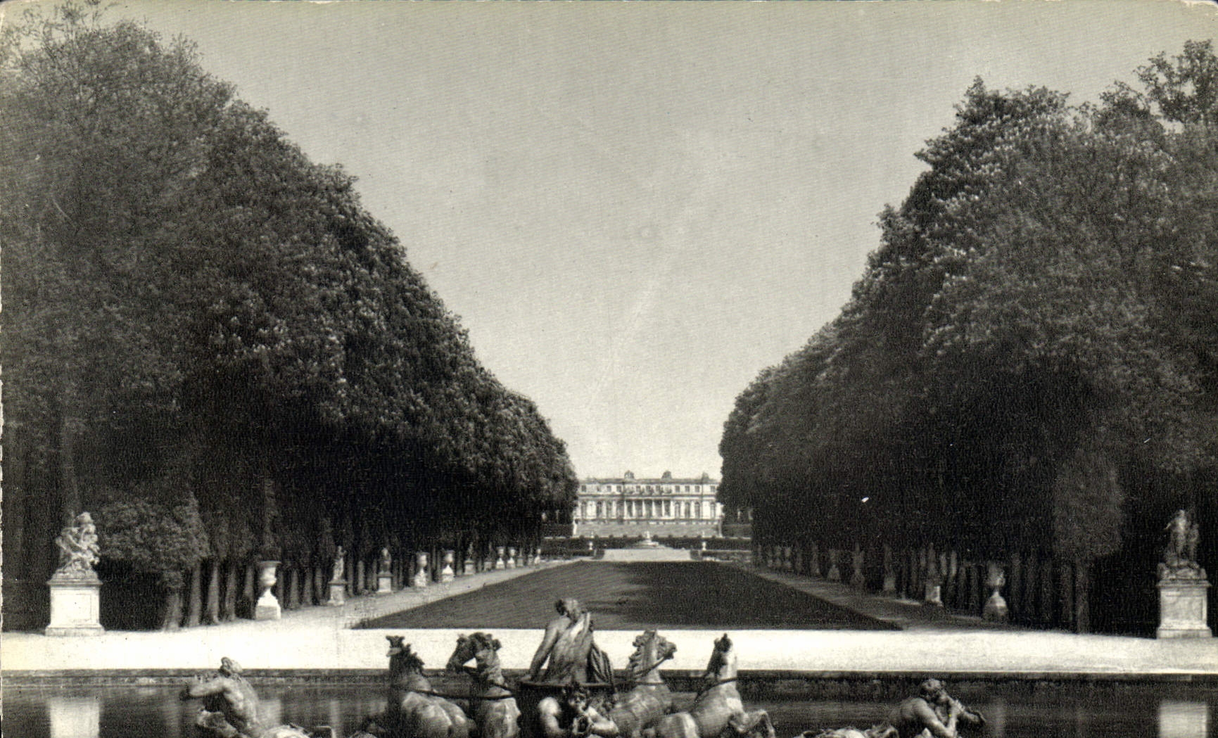 CPM Chateau de Versailles Le Bassin d'Apollon et l'Allee du Tapis vert 