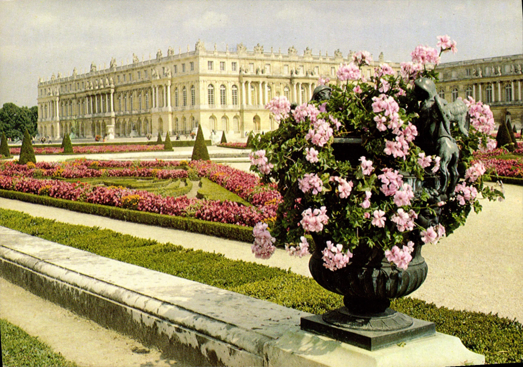 CPM Versailles Le Chateau et le Parterre Sud 