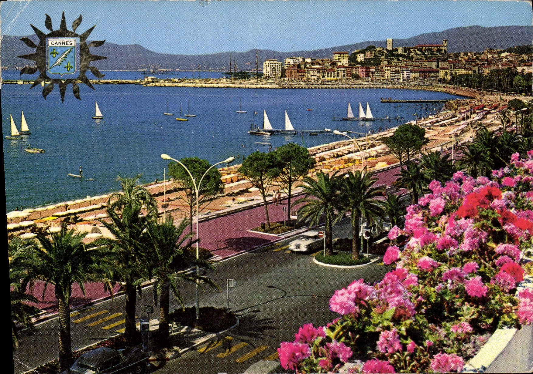 CPM Cannes Cote d'Azur French Riviera 