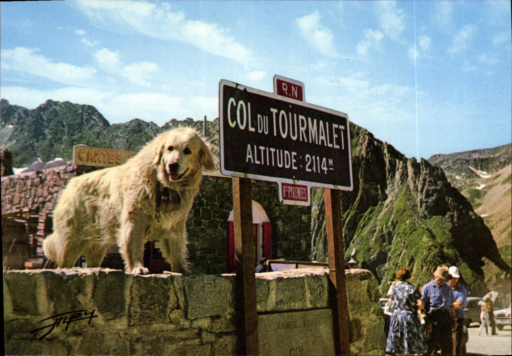 CPM Les Pyrenees Chien des Pyrenees au Col du Tourmalet