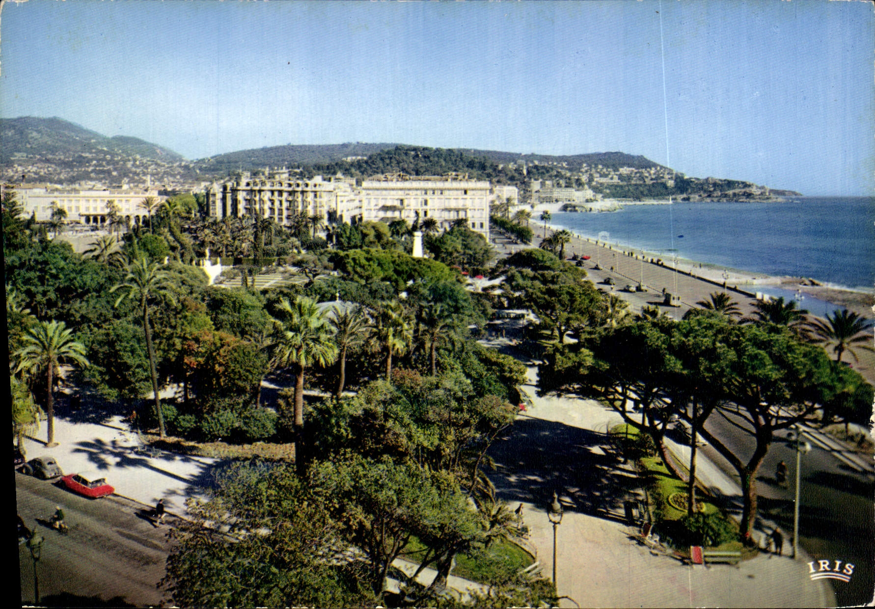 CPM Nice Le Jardin Albert 