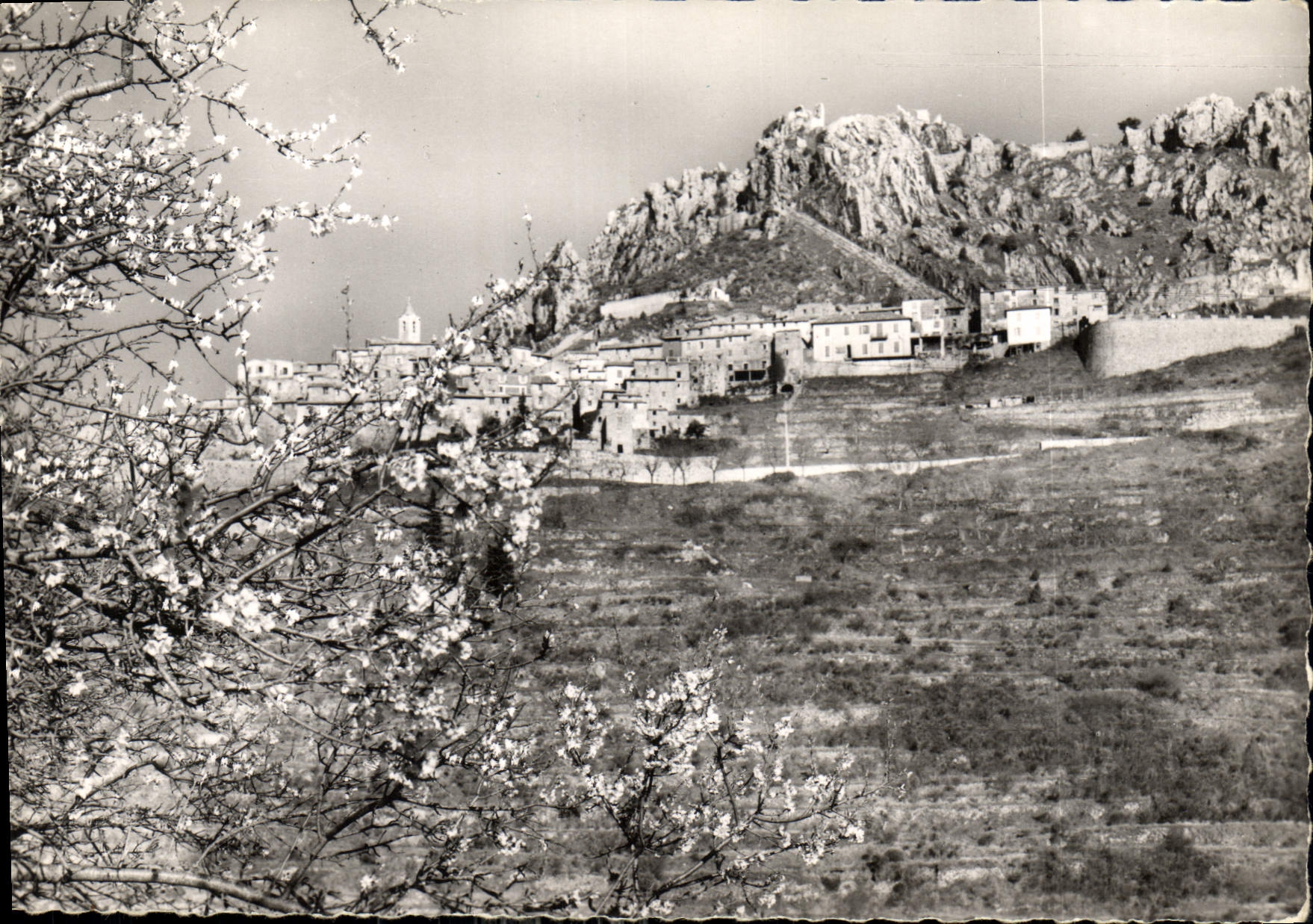 CPM La Cote d'Azur St Agnes Le Village au printemps