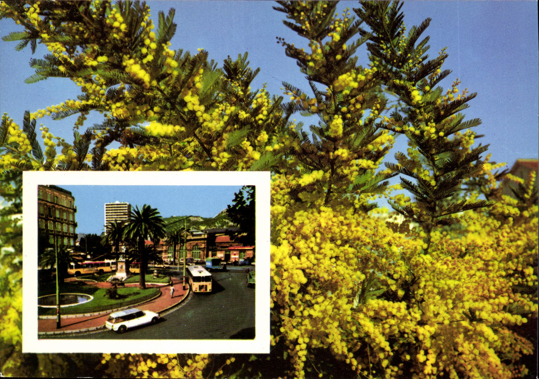 CPM La Cote d'Azur Embaument Toulon 