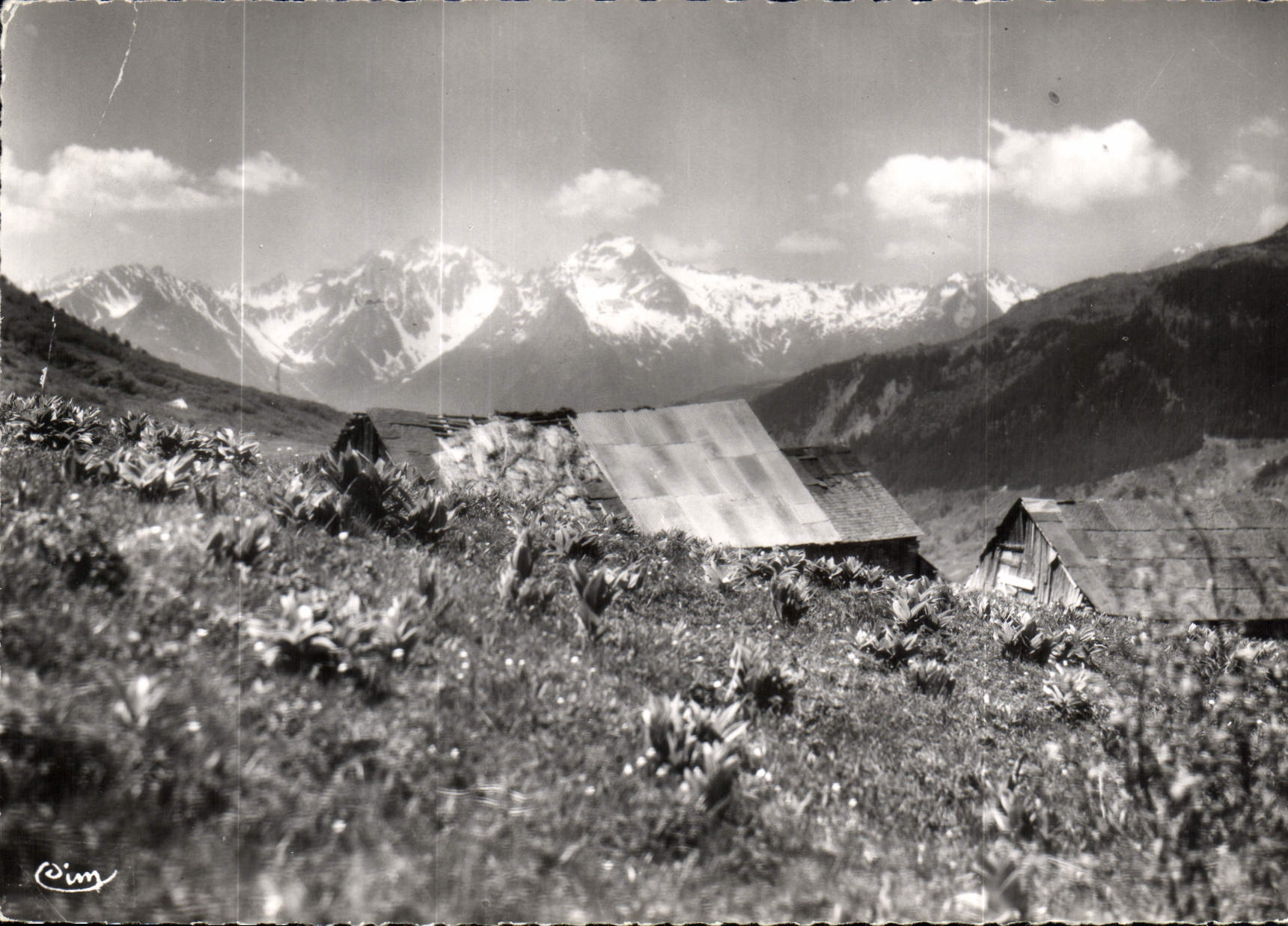 CPM St Francois Longchamp Savoie 