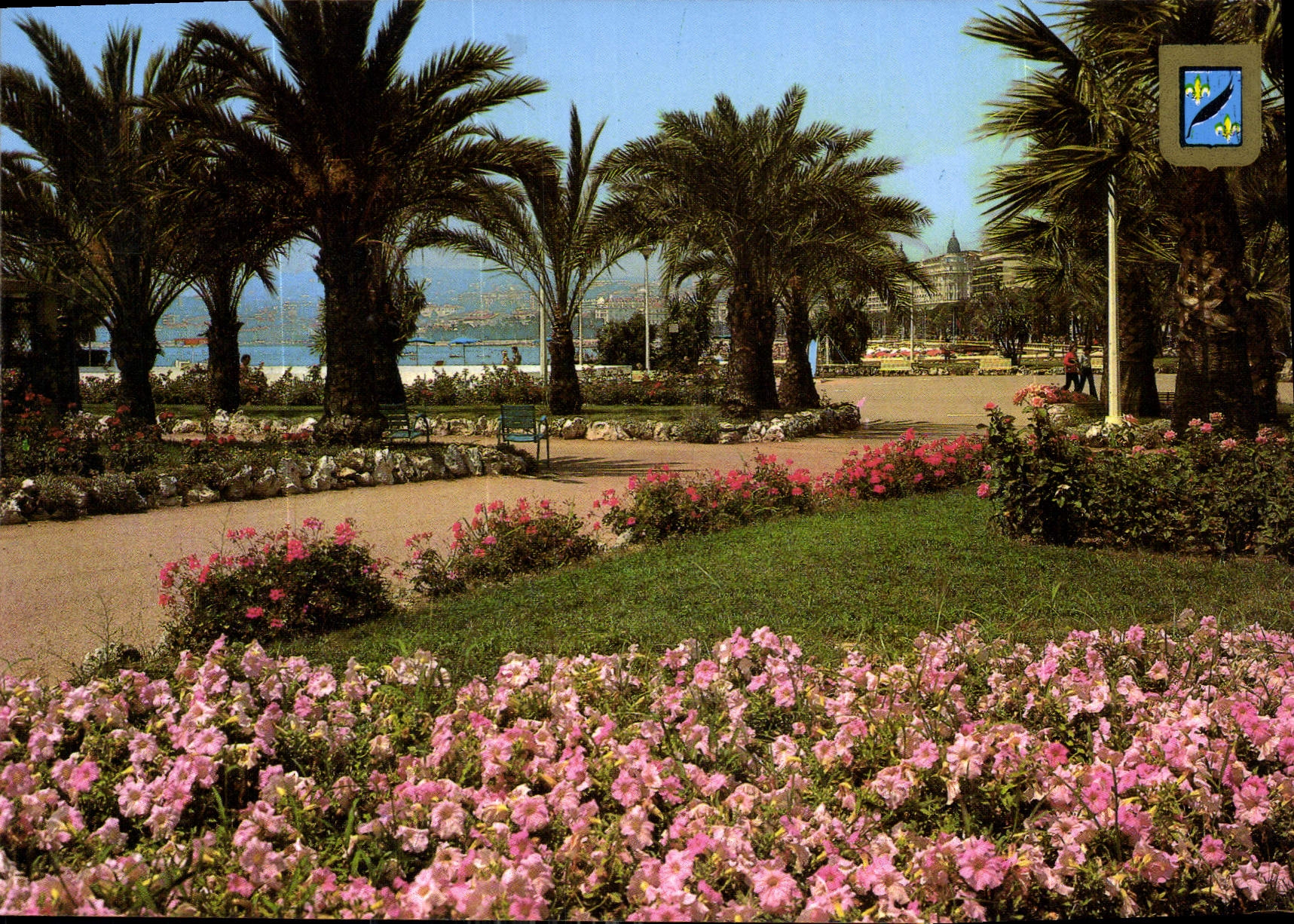 CPM Cannes Une partie des jardins fleuris de la Croisette 