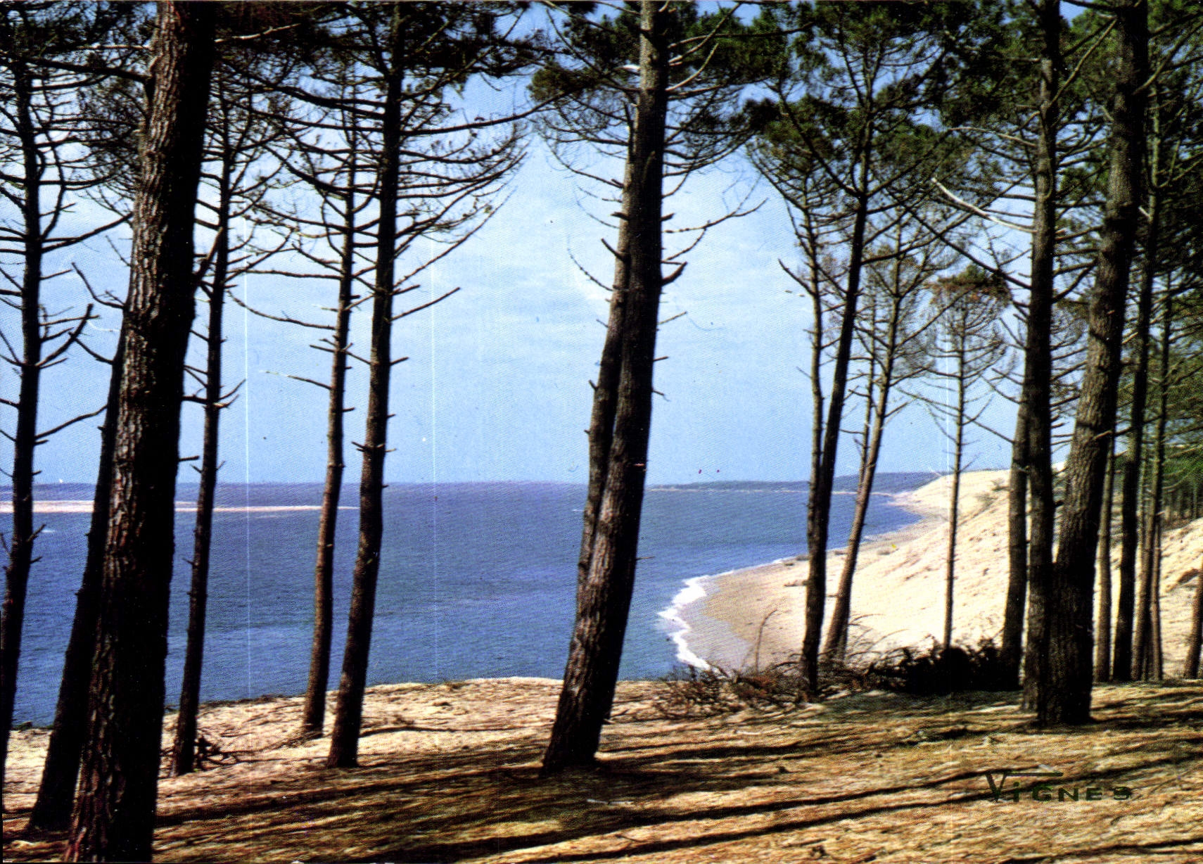 CPM Visage des Landes Bord de Mer 