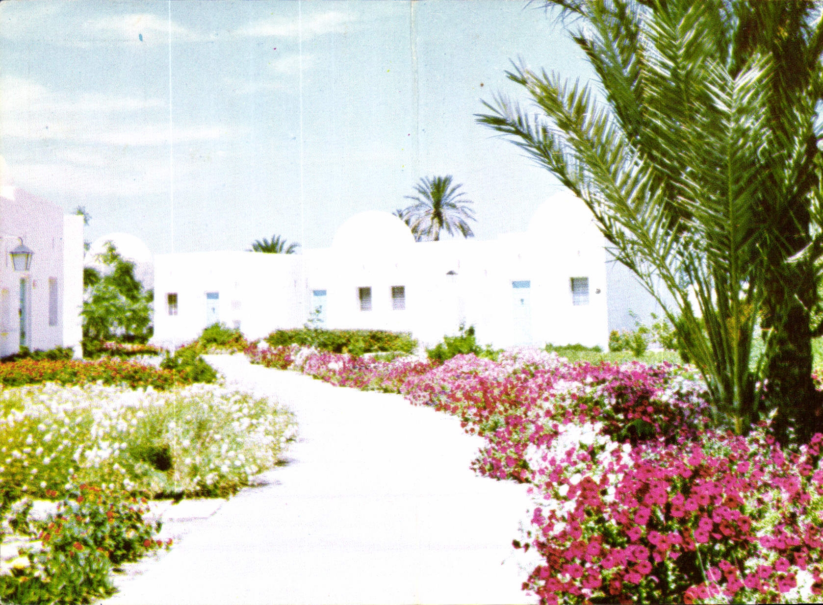 CPM Tunisie