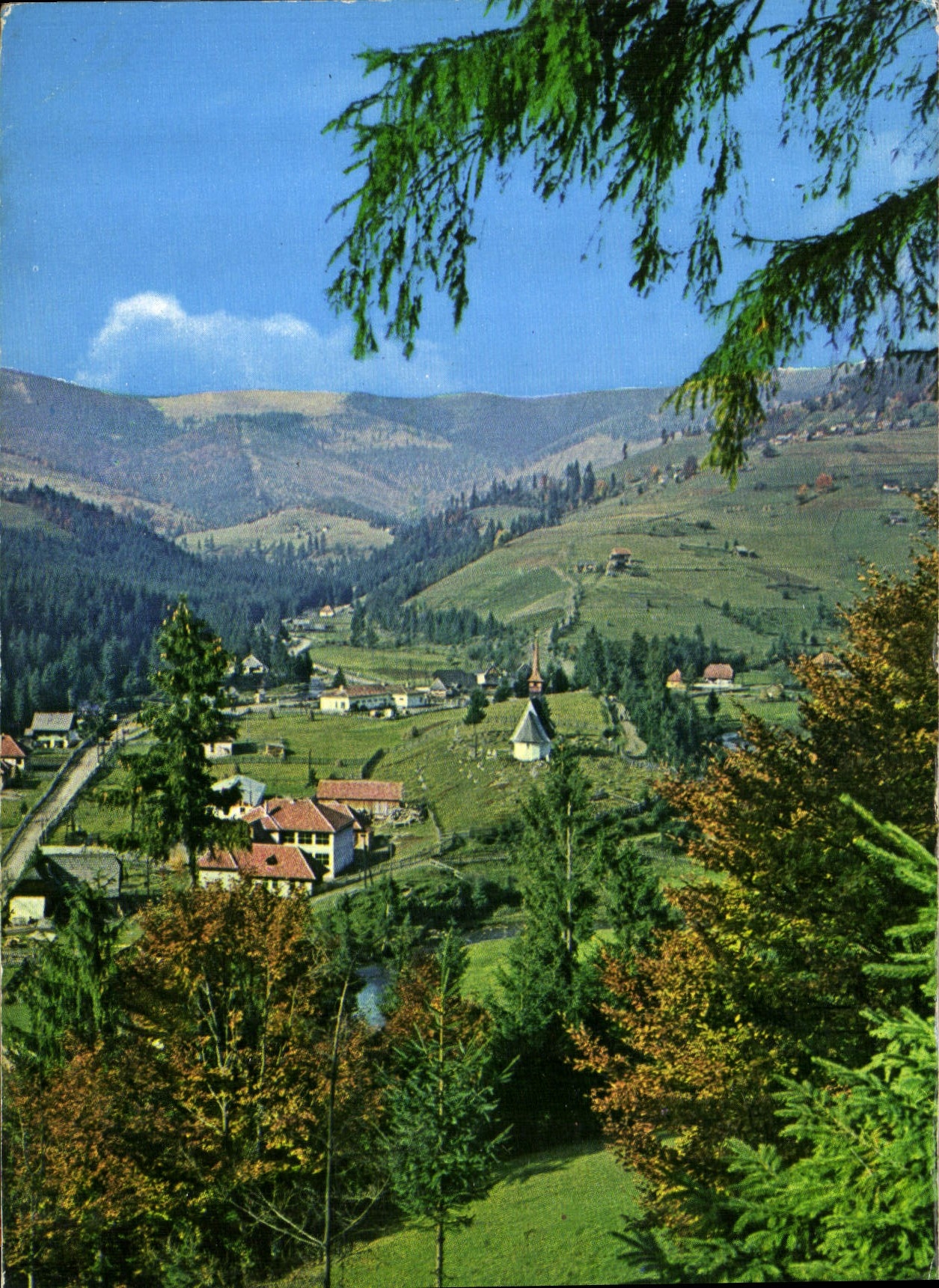 CPM Paysage des Carpathes Occidentaux