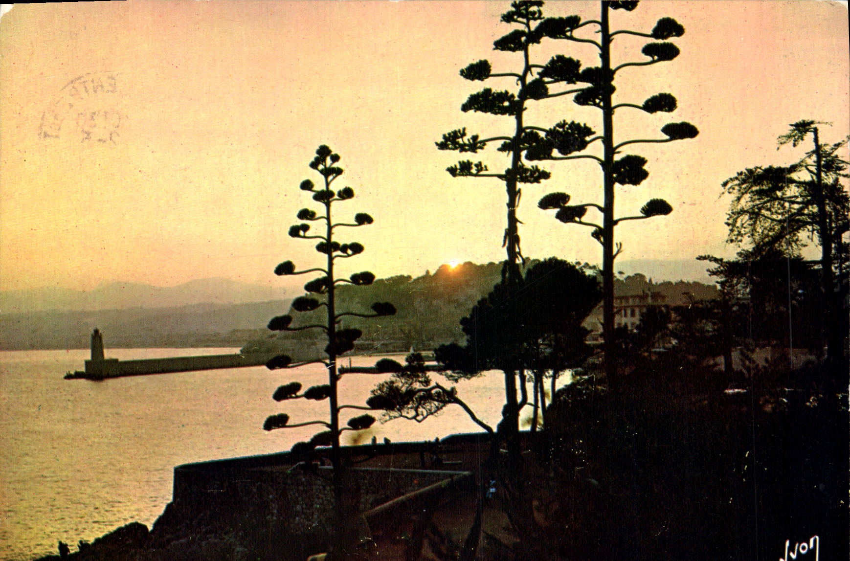 CPM La Cote d'Azur miracle de la nature Nice Alpes Maritimes Coucher de soleil sur le port