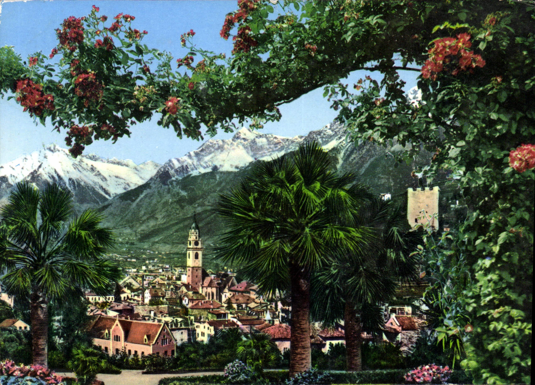 CPM Panorama 