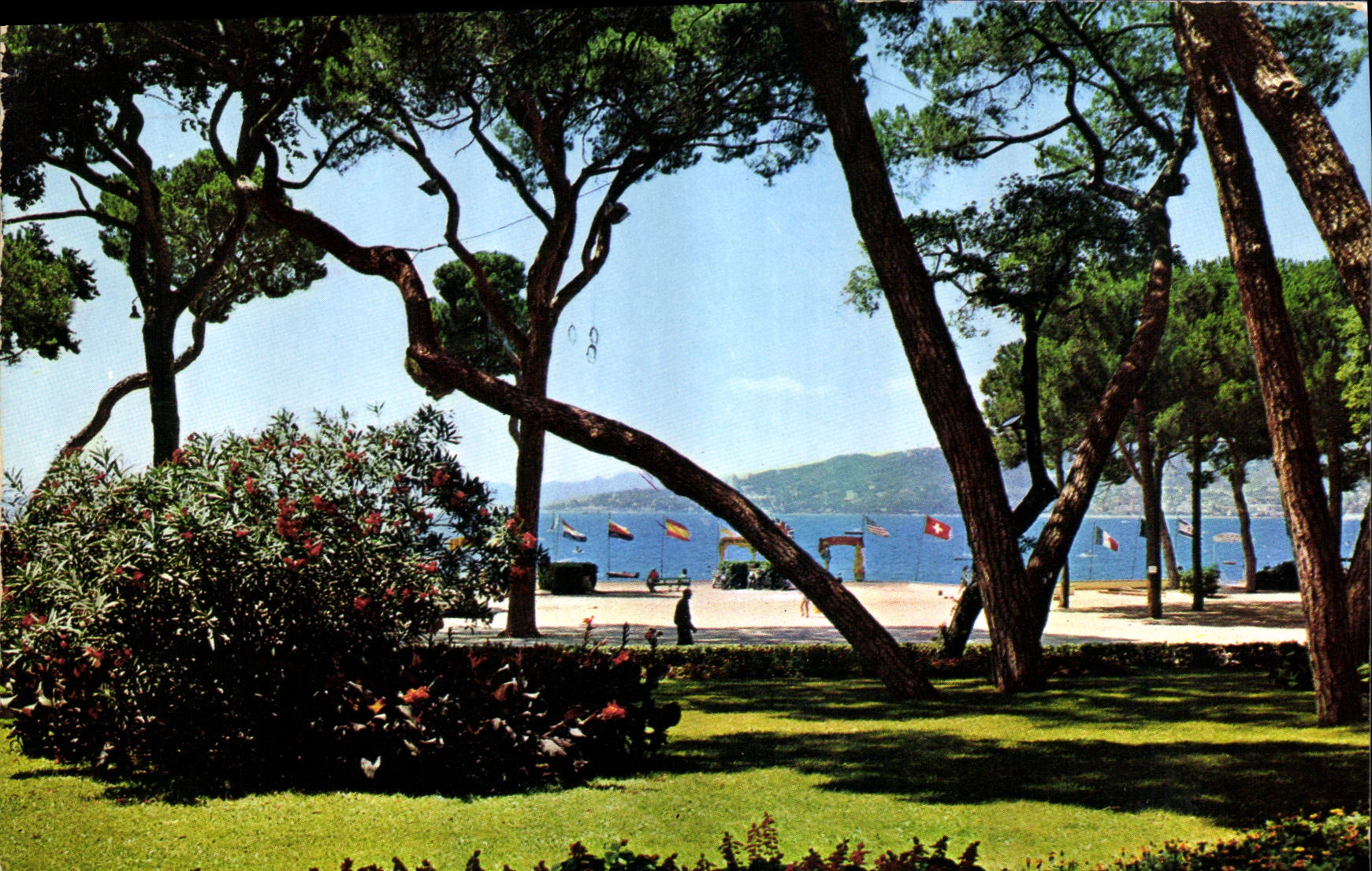 CPM Cote d'Azur Juan les Pins La Pinede 