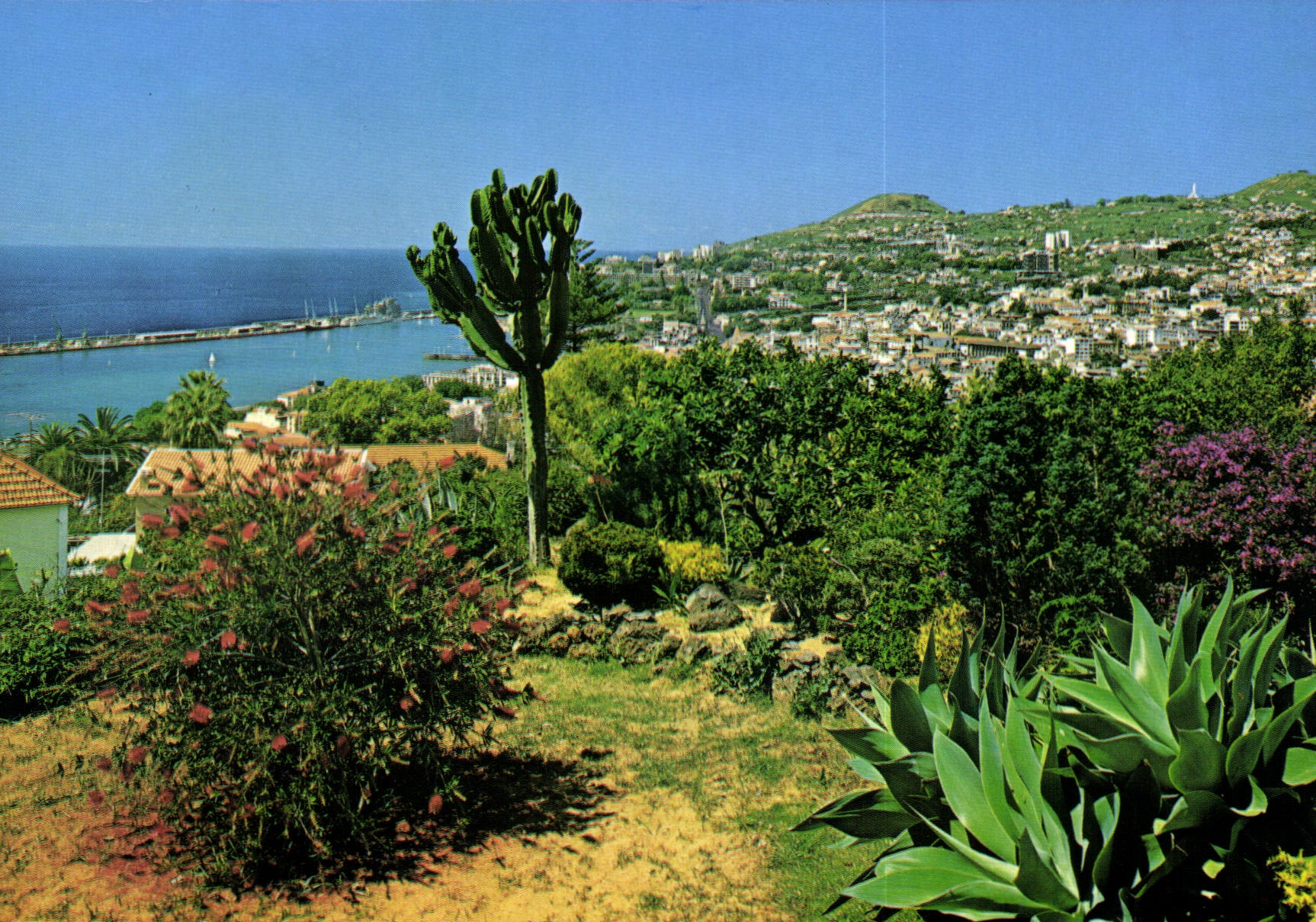 CPM Funchal Madeira Vue Occidentale 