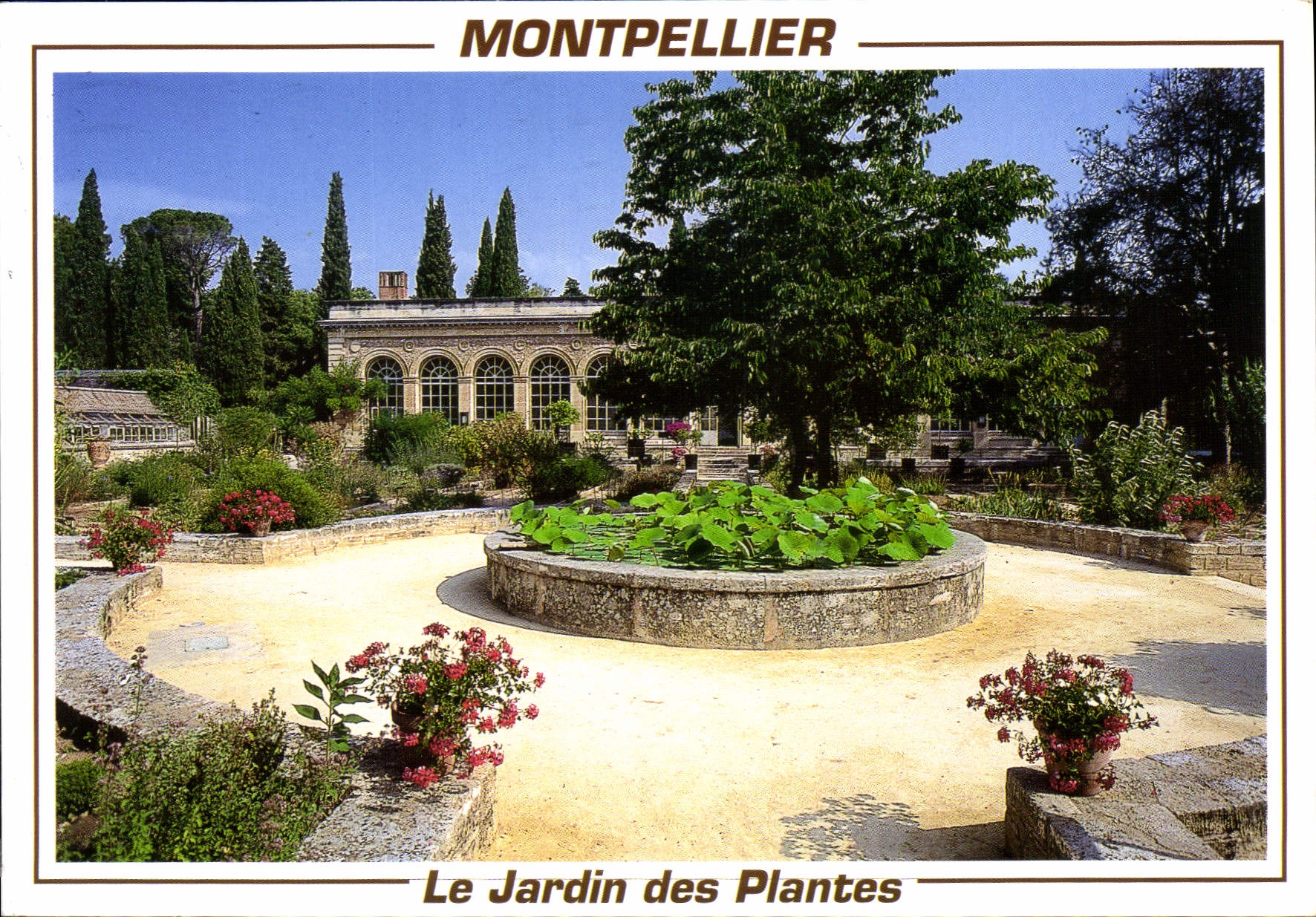 CPM Montpellier Le Jardin des Plantes 