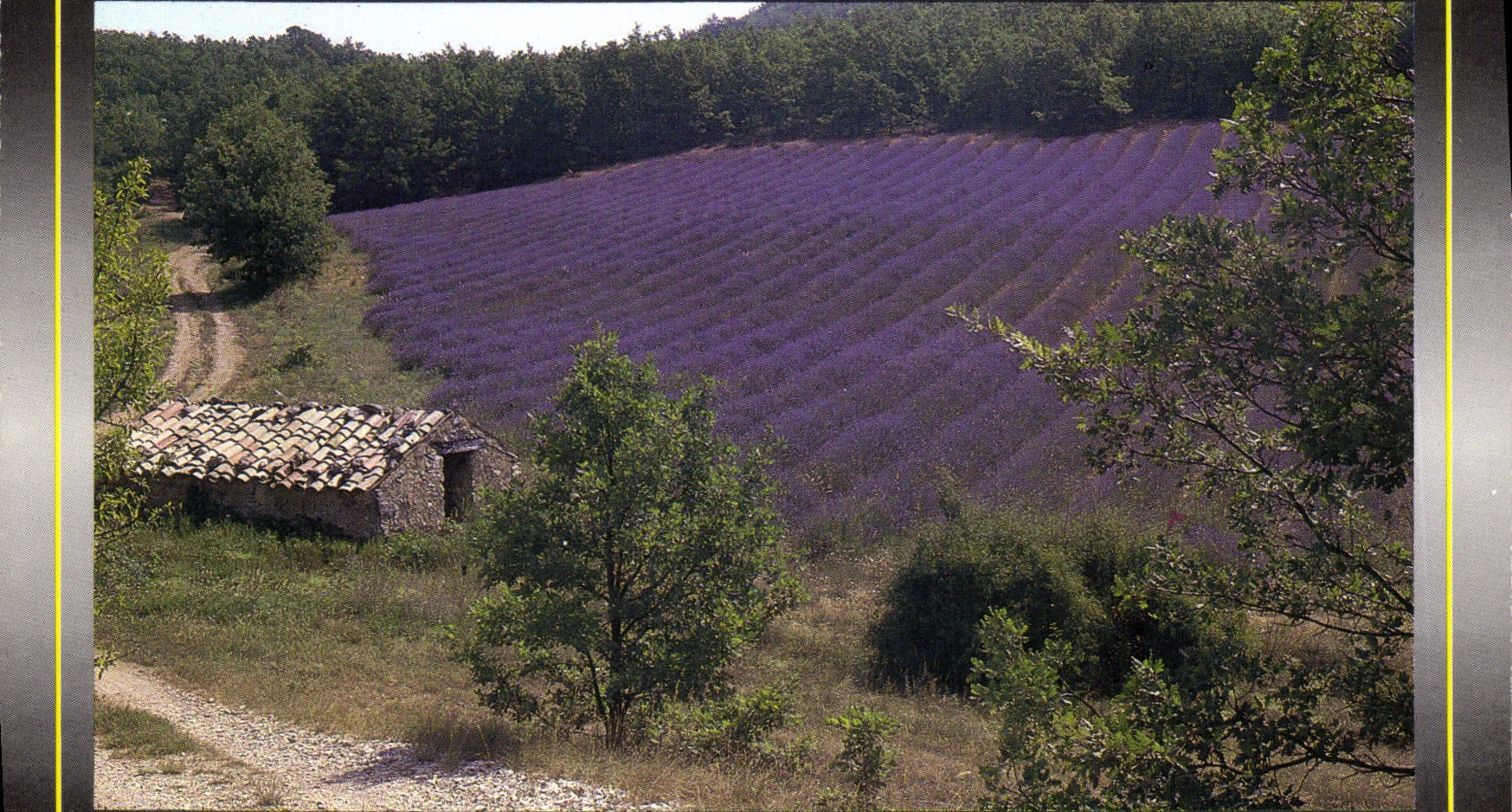 CPM Au detour d'un sentier 