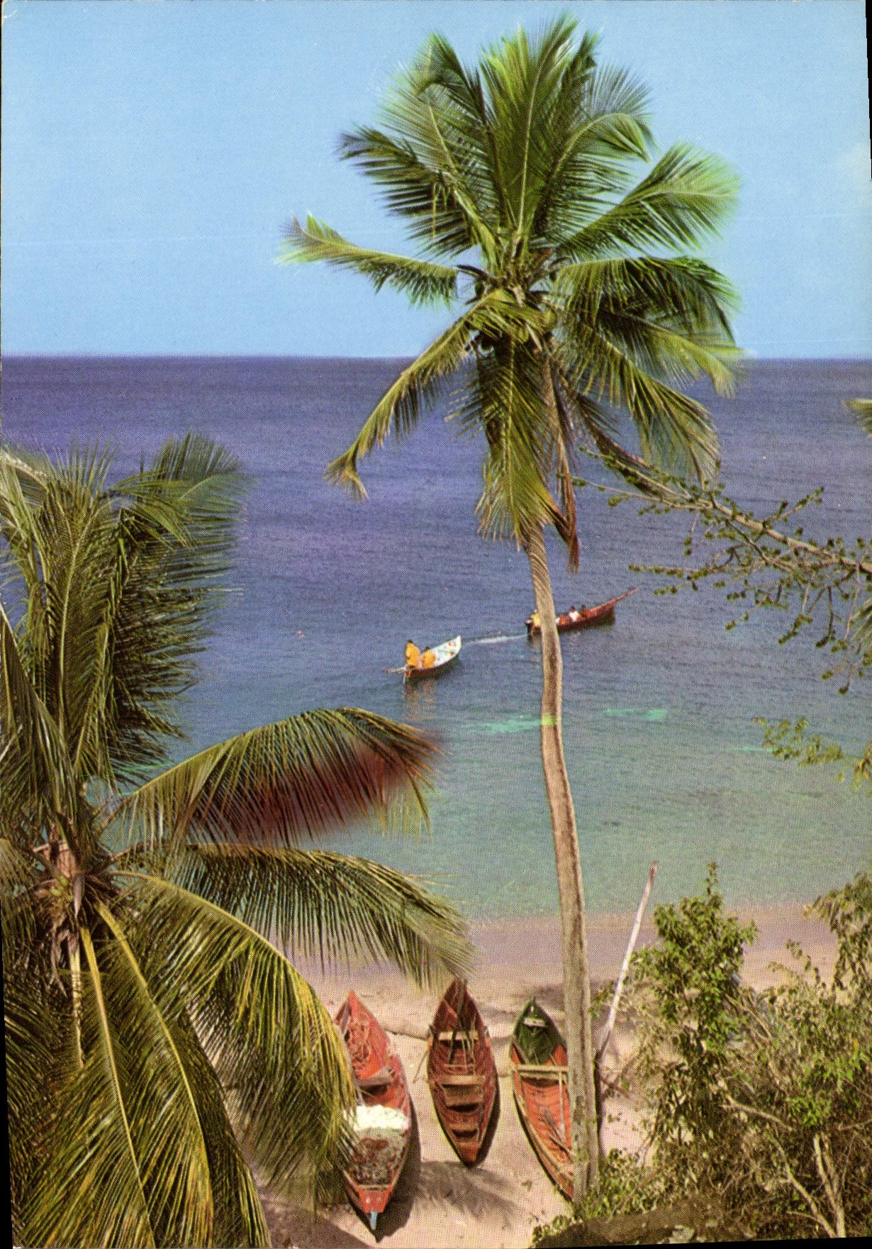 CPM Martinique Anse d'Arlets Promenade en mer a l'Anse Dutour