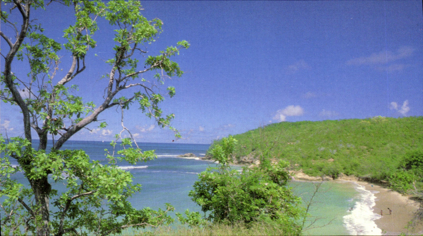 CPM Il etait une fois la Martinique 