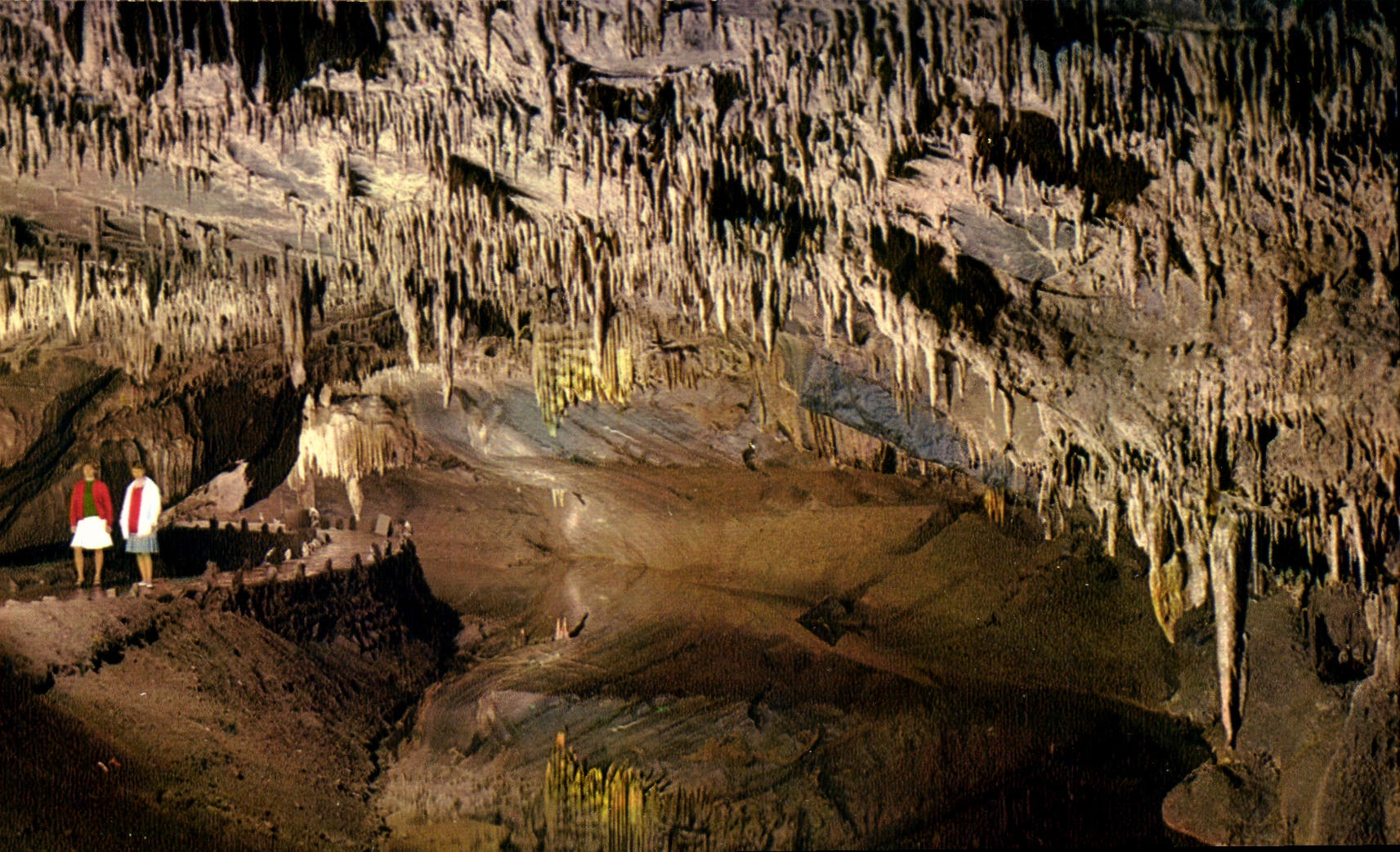 CPM Grottes de Han s Lesse L Entree de la Salle des Draperies