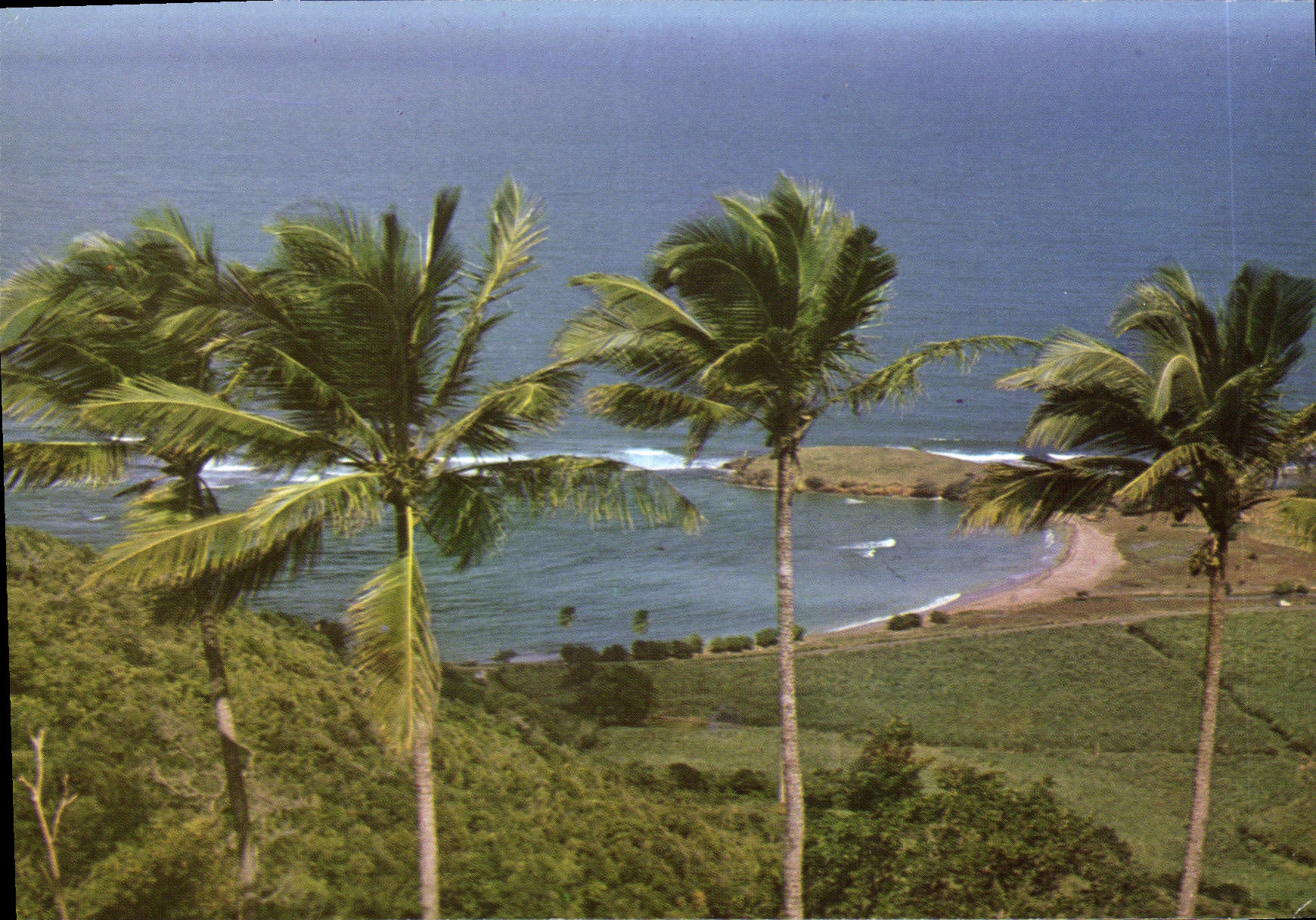 CPM Martinique Paysage de la presqu'ile de la Caravelle a Tartane
