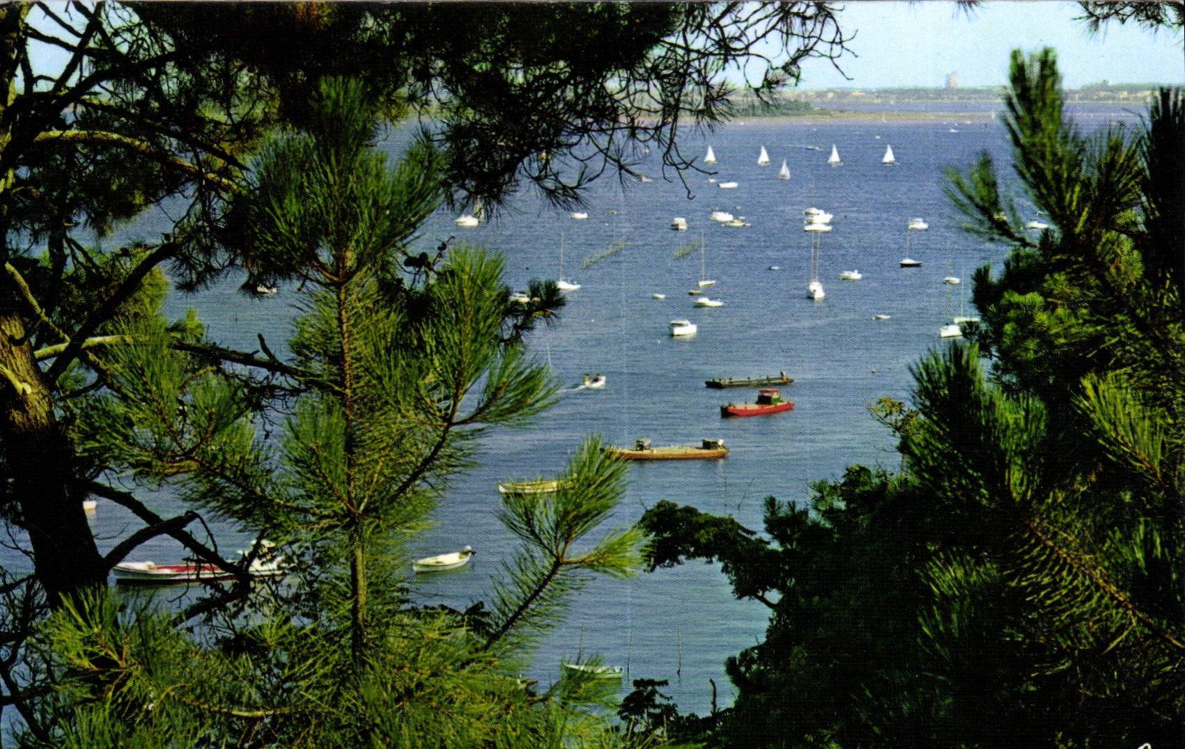 CPM Bassin d'Arcachon Gironde Un tres joli coin du Bassin pres de la Pointe aux Chevaux en face Arca
