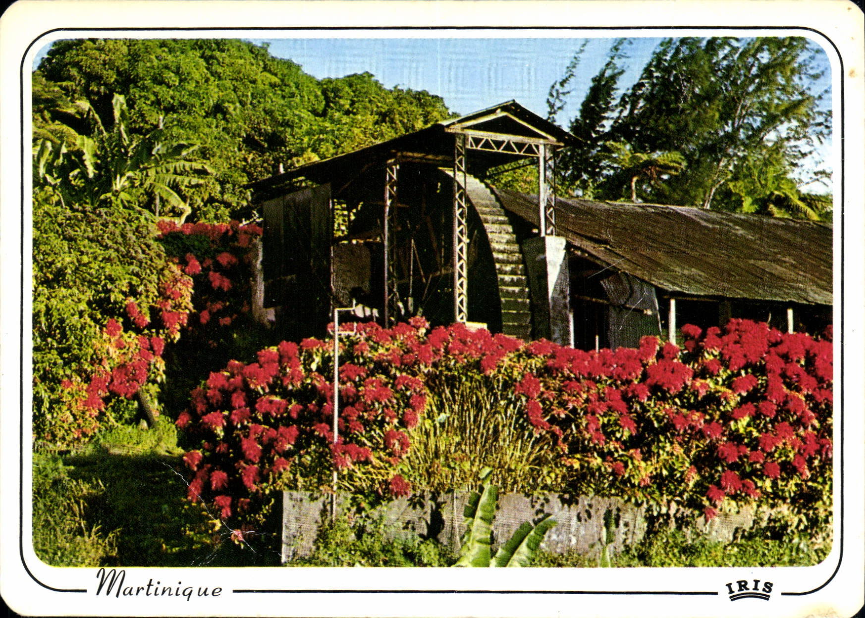 CPM Martinique Vieux moulin vers Saint Pierre 