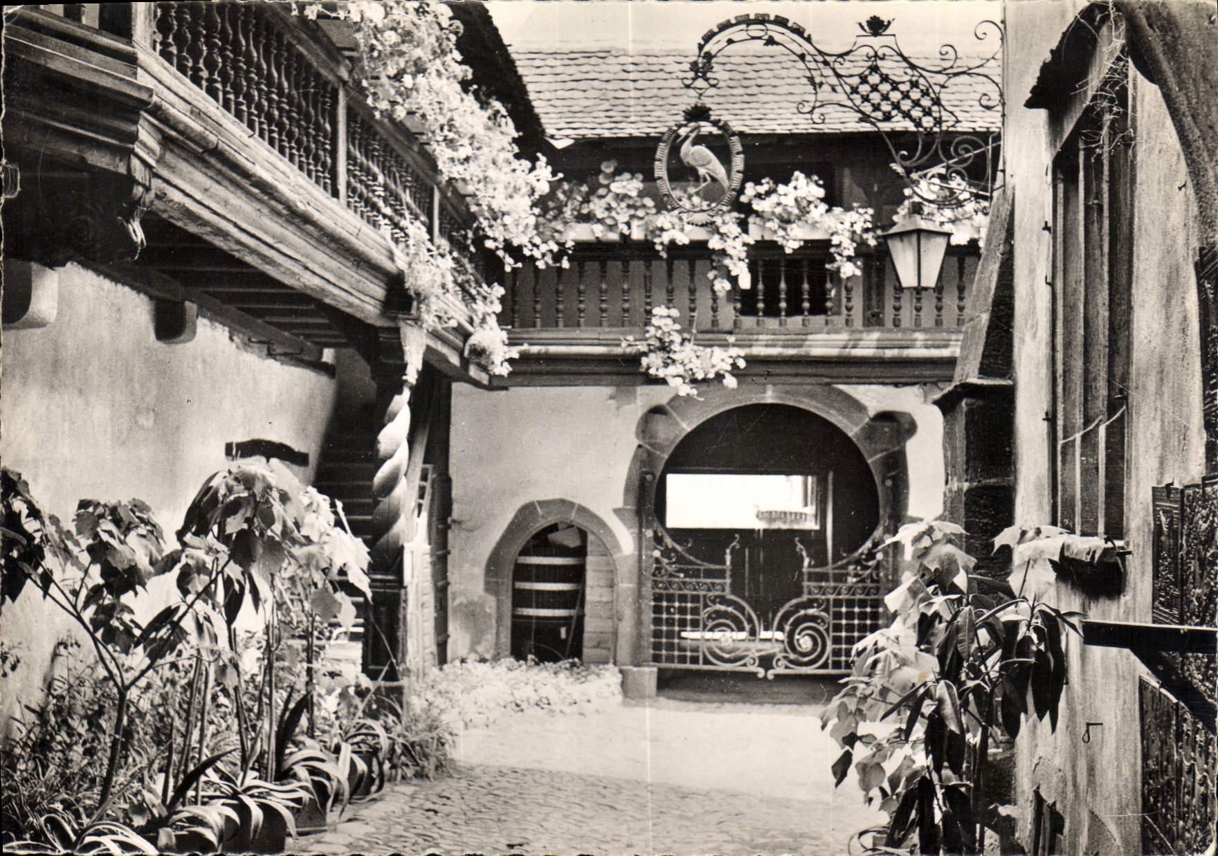 CPM Riquewihr Haut Rhin Cour des Cigognes 