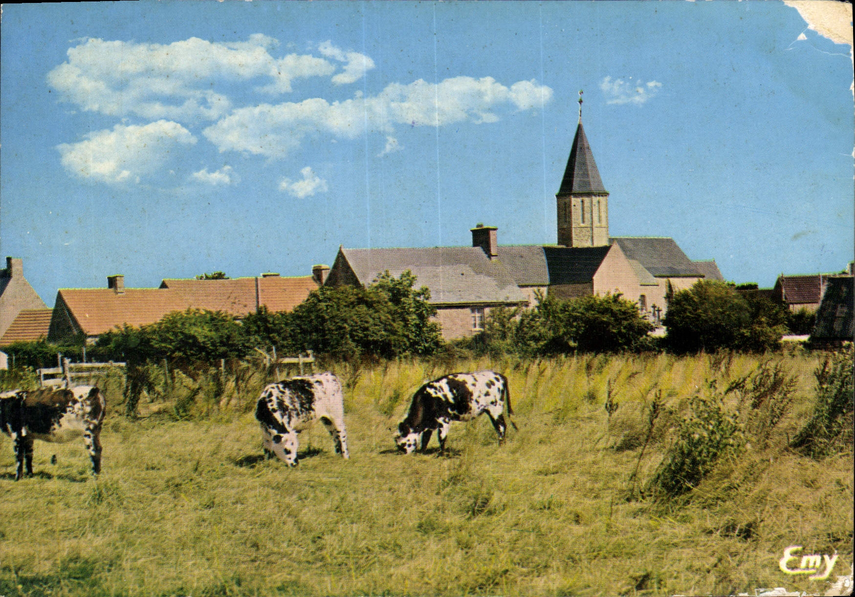 CPM La Normandie Pittoresque Village du Cotentin Vaches