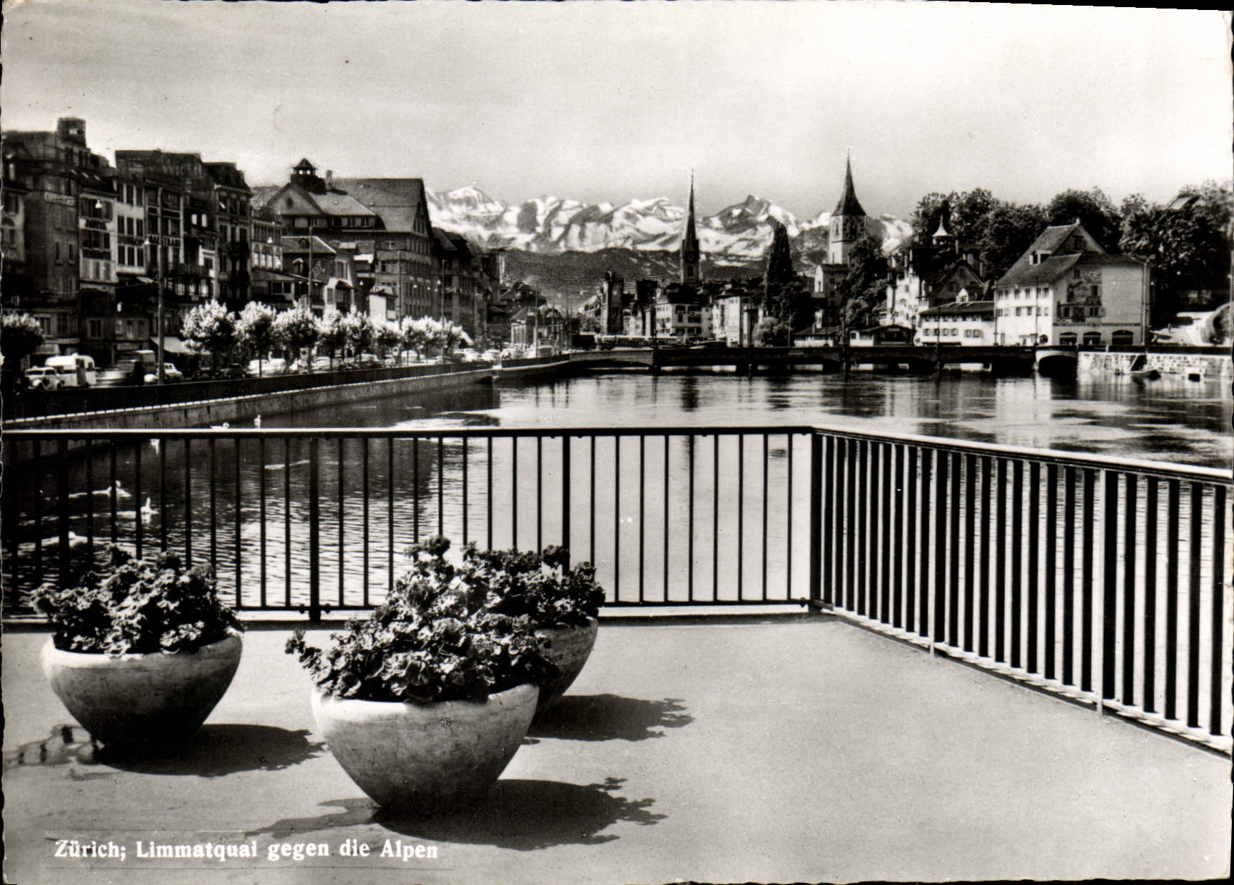 CPM Zurich Limmatquai geggen die Alpen