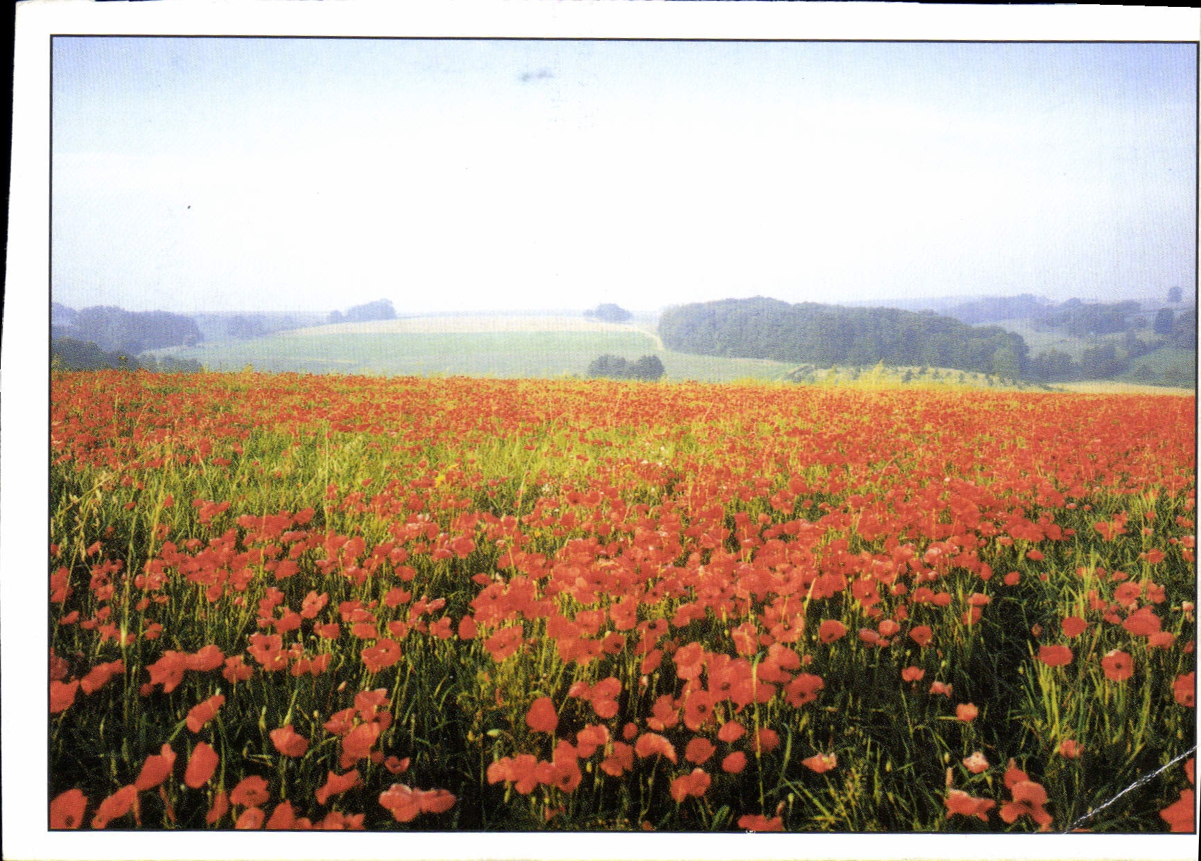 CPM Les Samaines Regionales de l'Environnement plus de 150 manifestation organisees avec le soutien