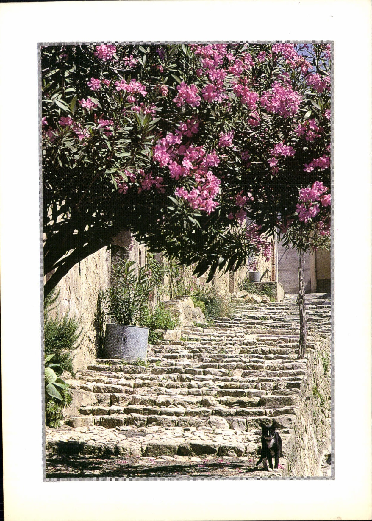 CPM Soleil et Traditions 