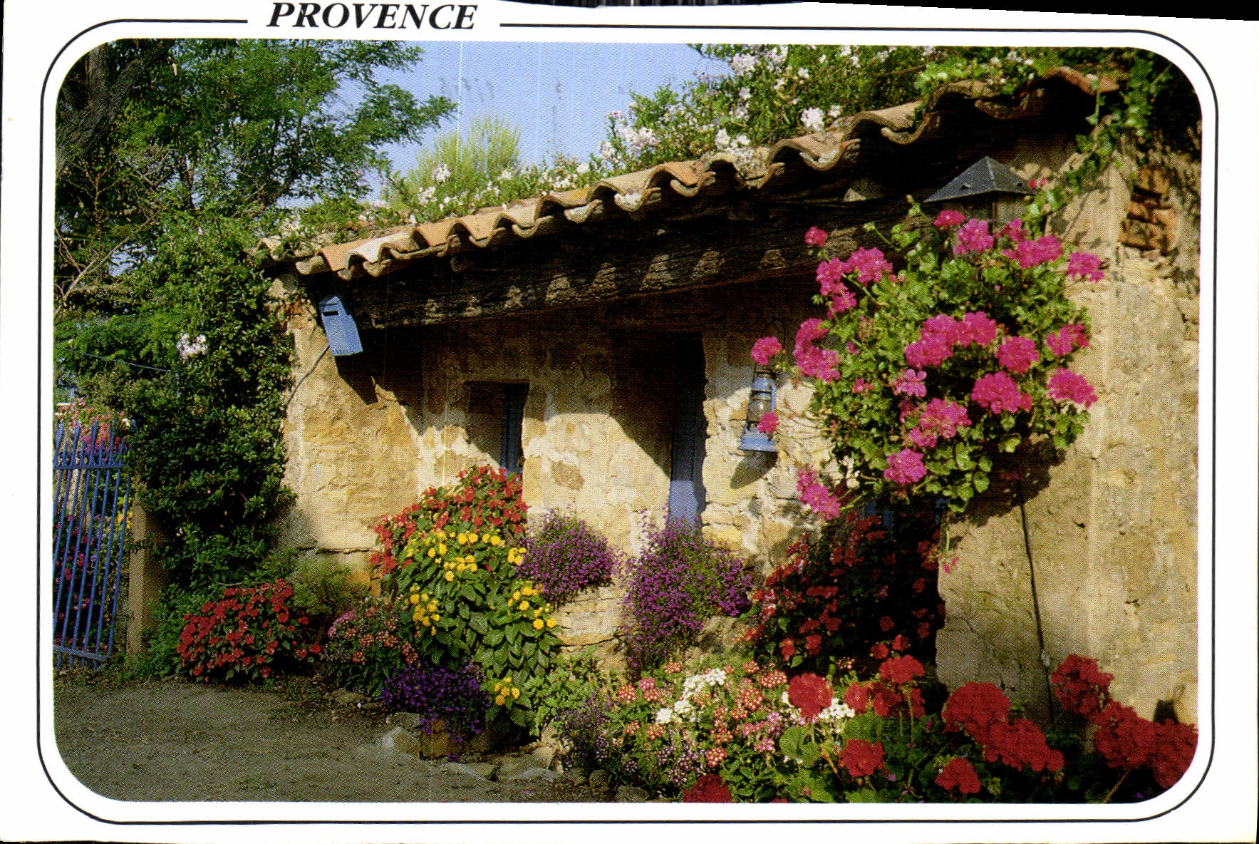 CPM Au Soleil de la Cote d'Azur le Petite Maison fleurie 