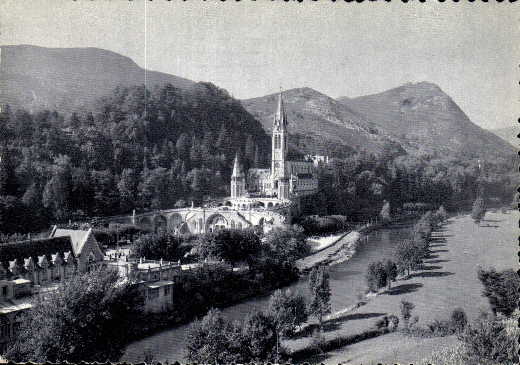 CPM Lourdes la Basilique et le Gave 