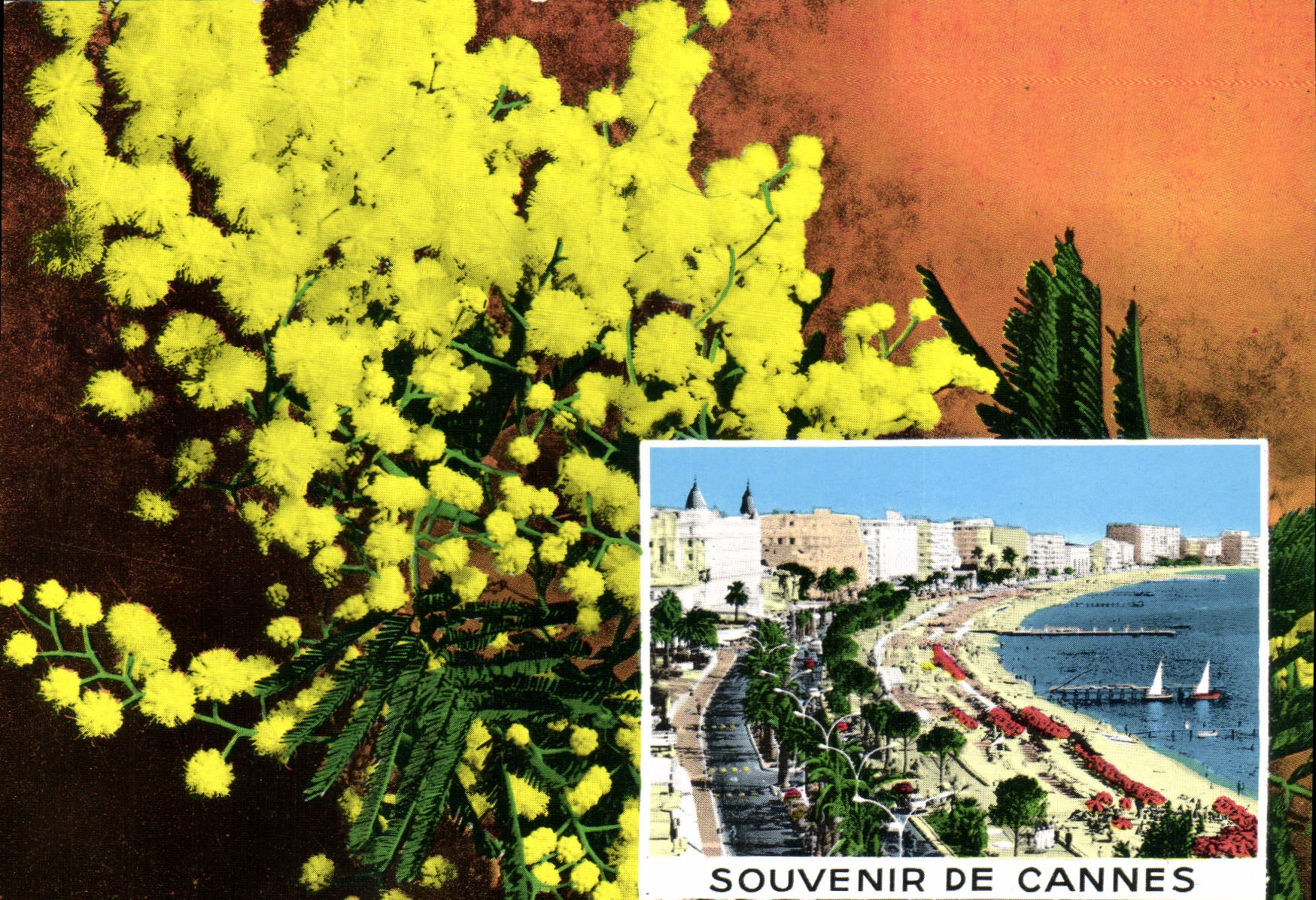 CPM Cote d'Azur Souvenir de Cannes 