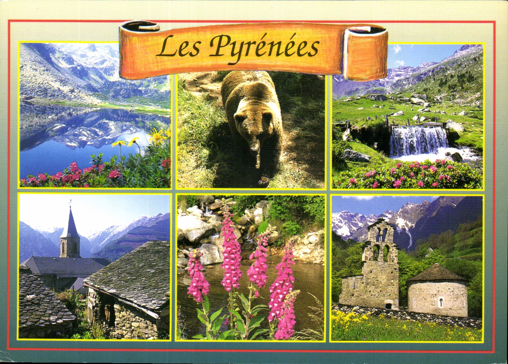 CPM Les Pyrenees Ours