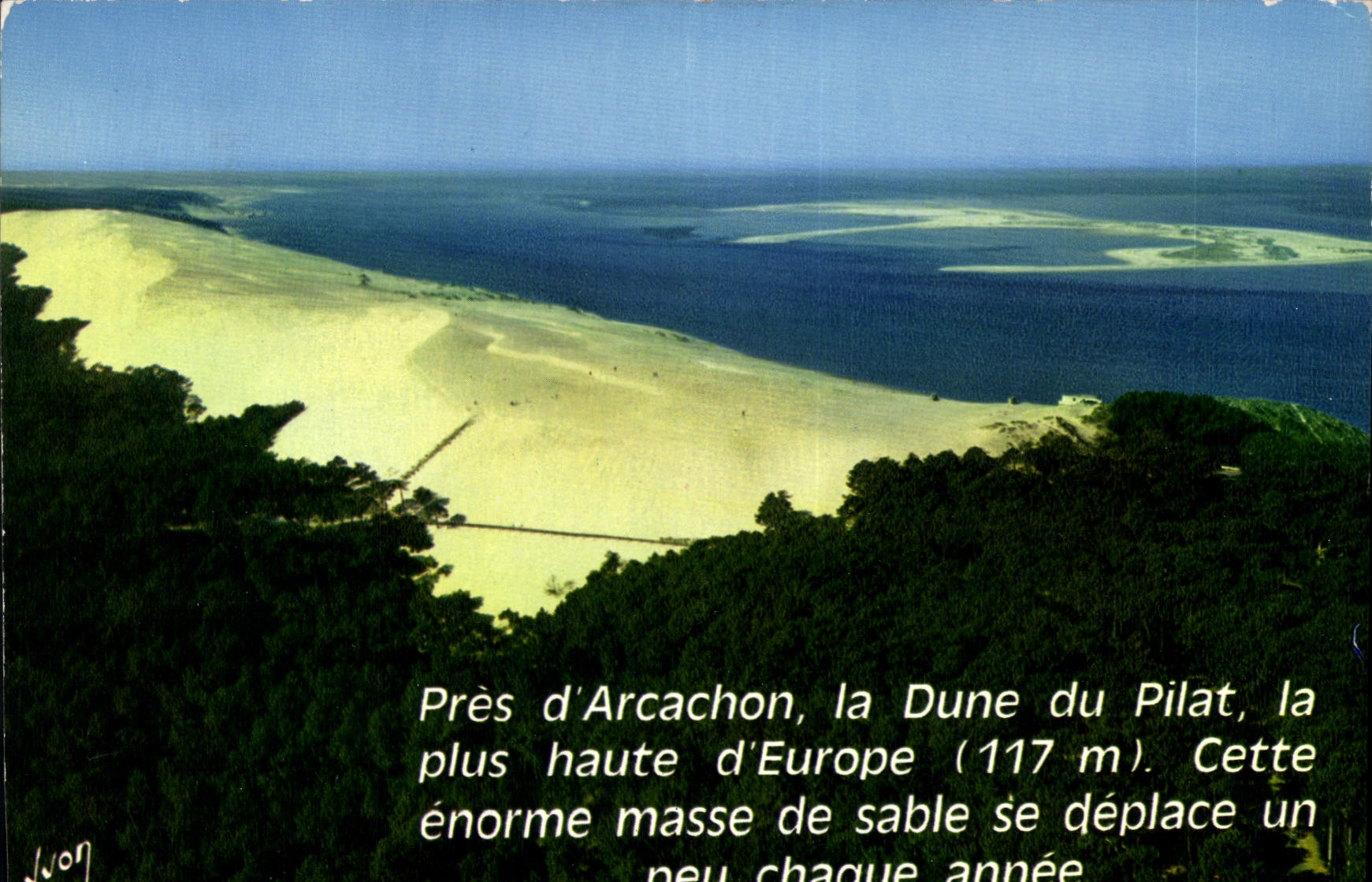 CPM Baie d'Arcachon Gironde la dune du Pilat la plus haute d'Europe au fond a droite le Banc d'Argui