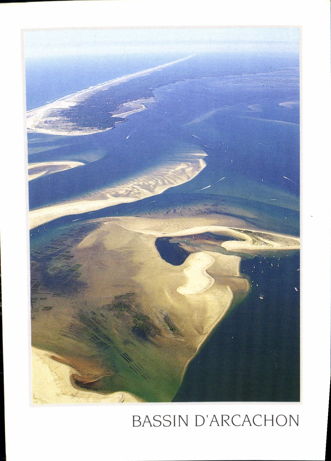 CPM Bassin d'Arcachon Gironde le Banc d'Arguin