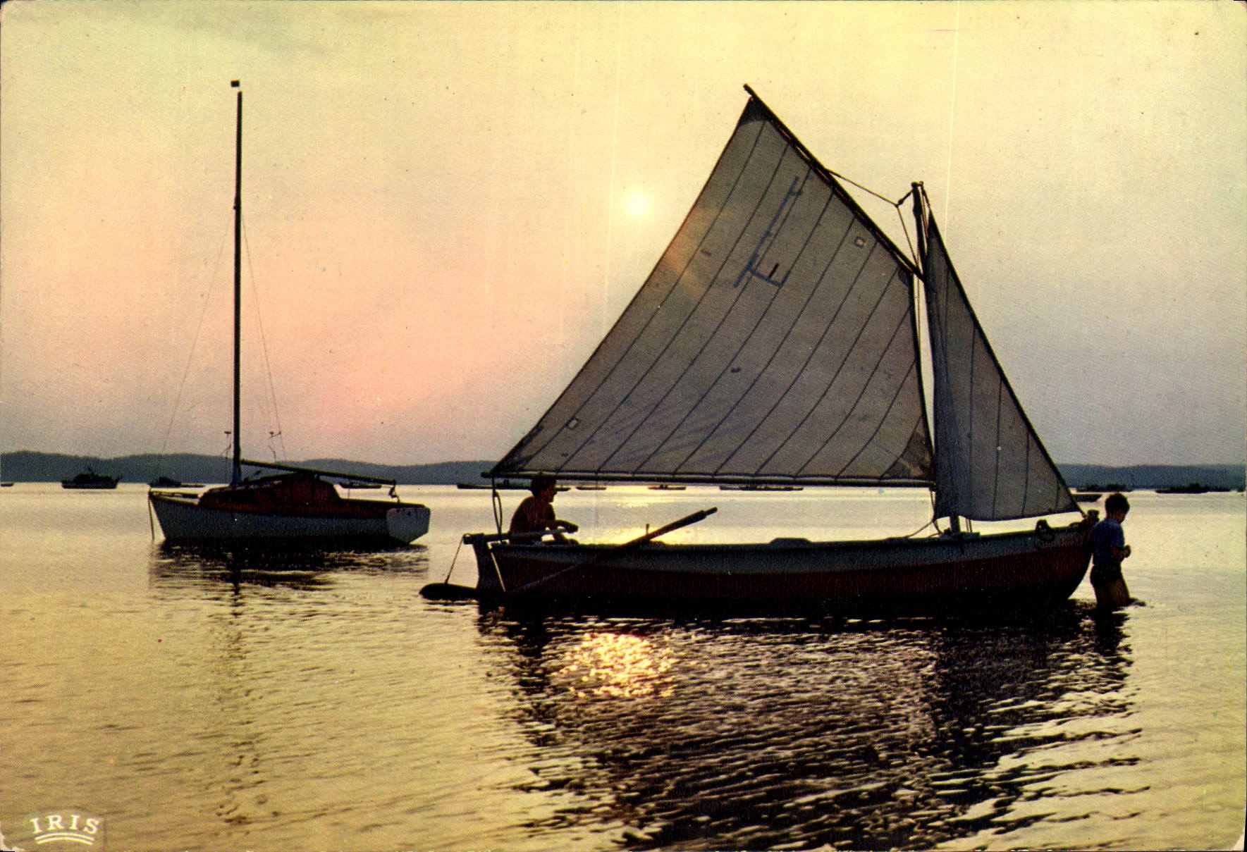 CPM Bassin d'Arcachon le Soir les voiliers