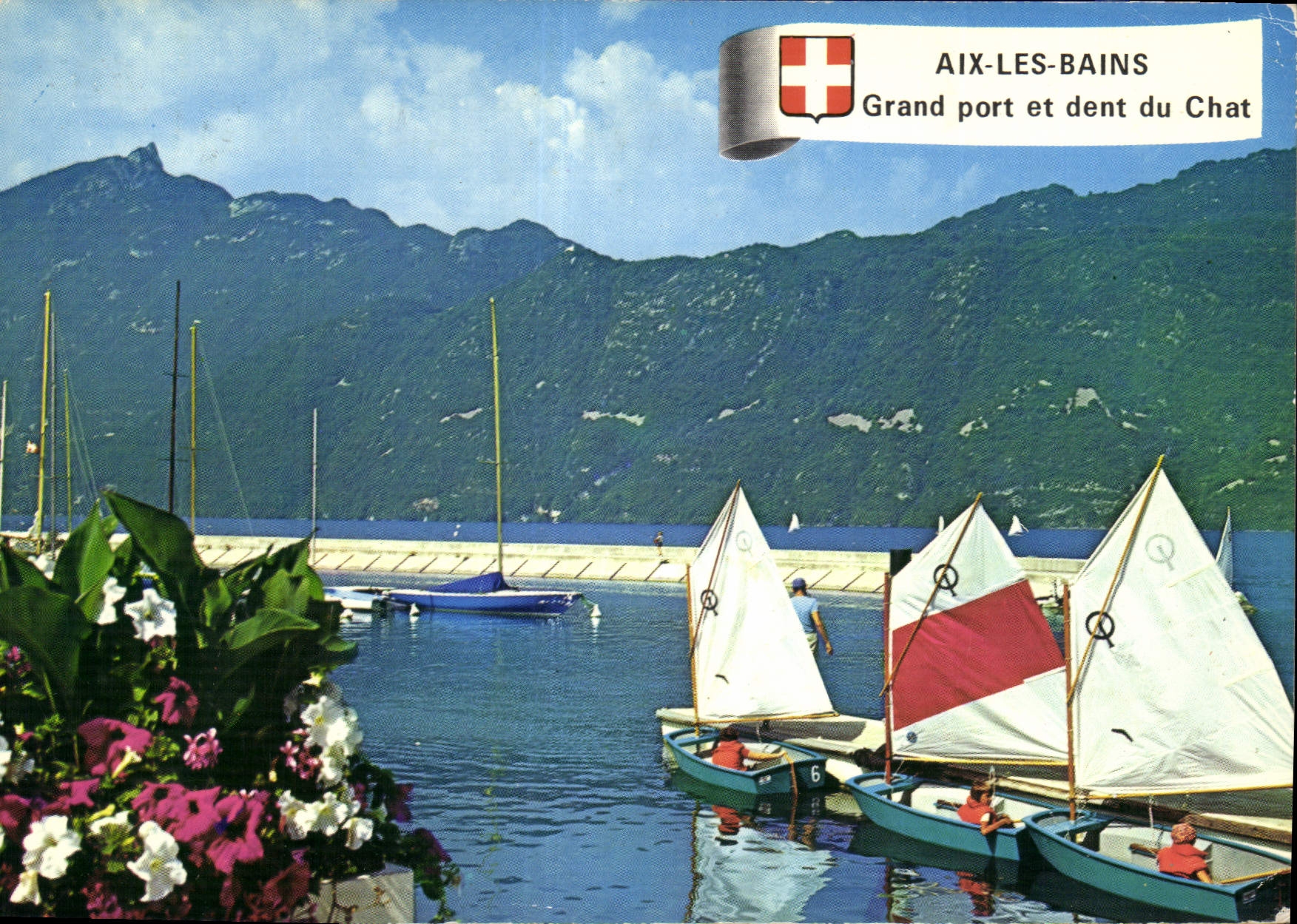 CPM Aix les Bains Savoie le Lac du Bourget au grand Port et la Dent du Chat Bateaux optimistes