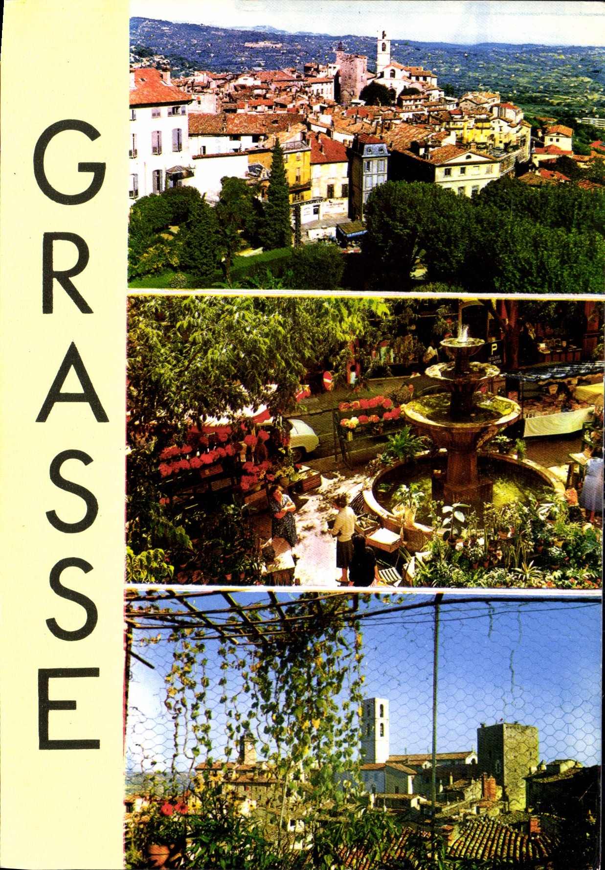 CPM Souvenir de Grasse 
