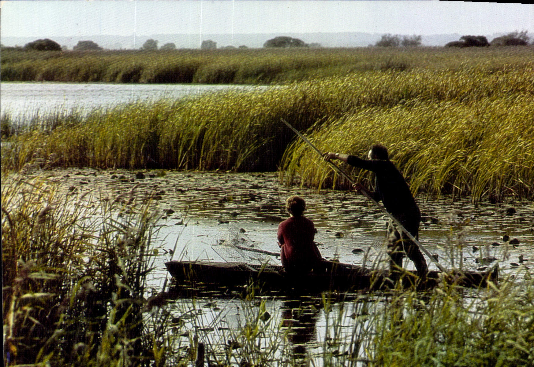 CPM La Loire Atlantique touristique Parc regional de Briere sur les Canaux